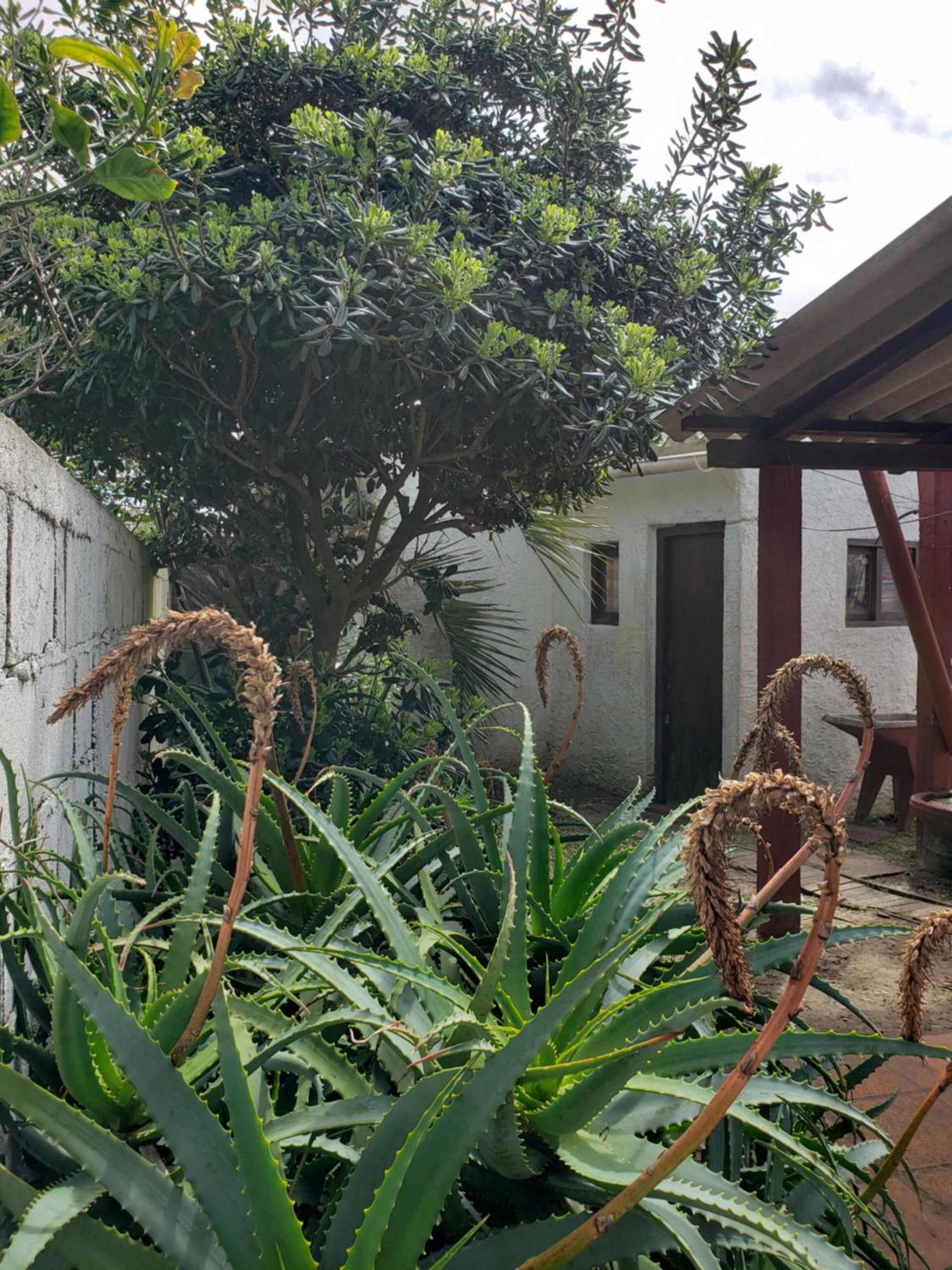Casa Lo de La Toti view 4