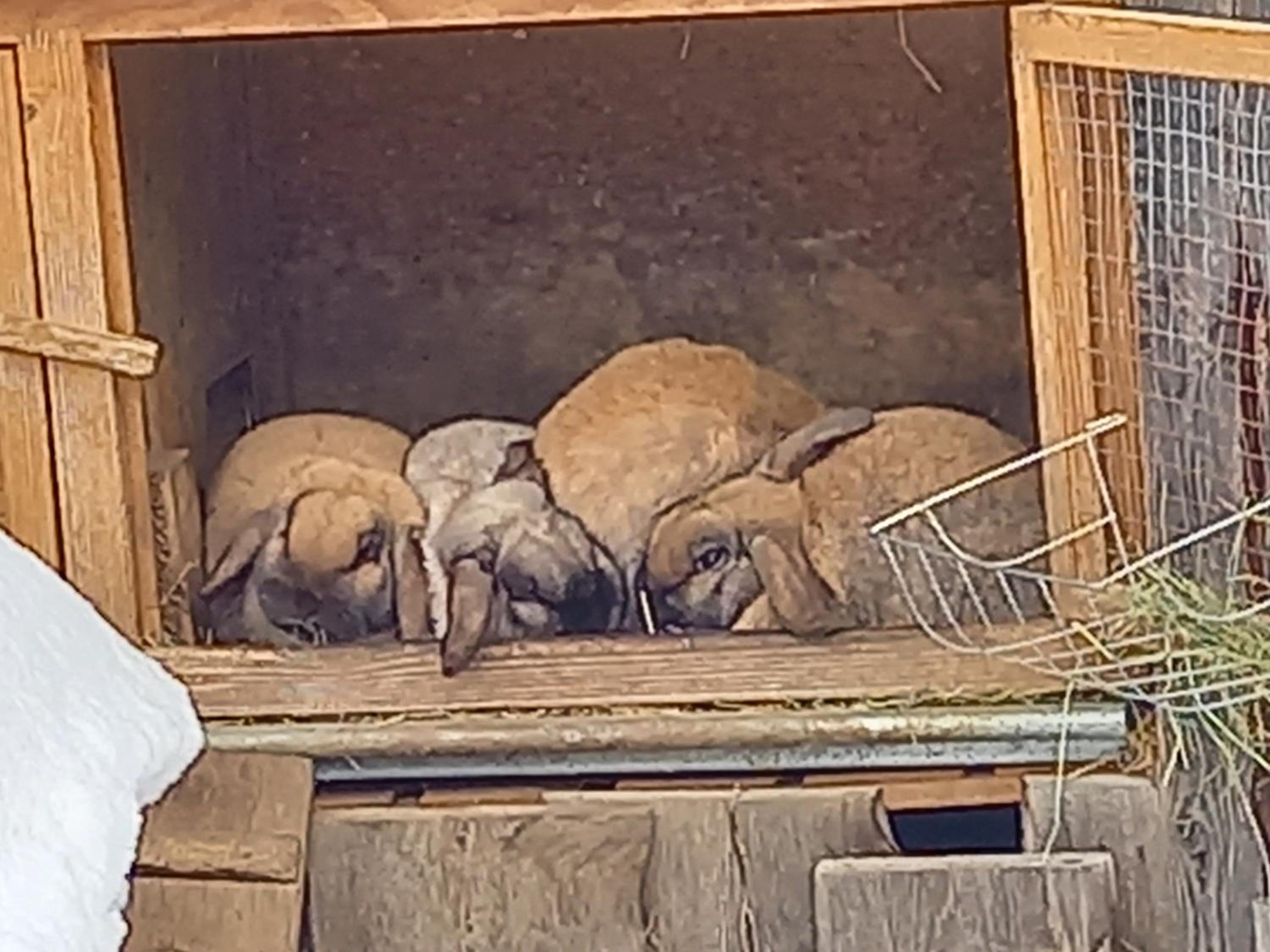 Ferienwohnungen Weberbauer