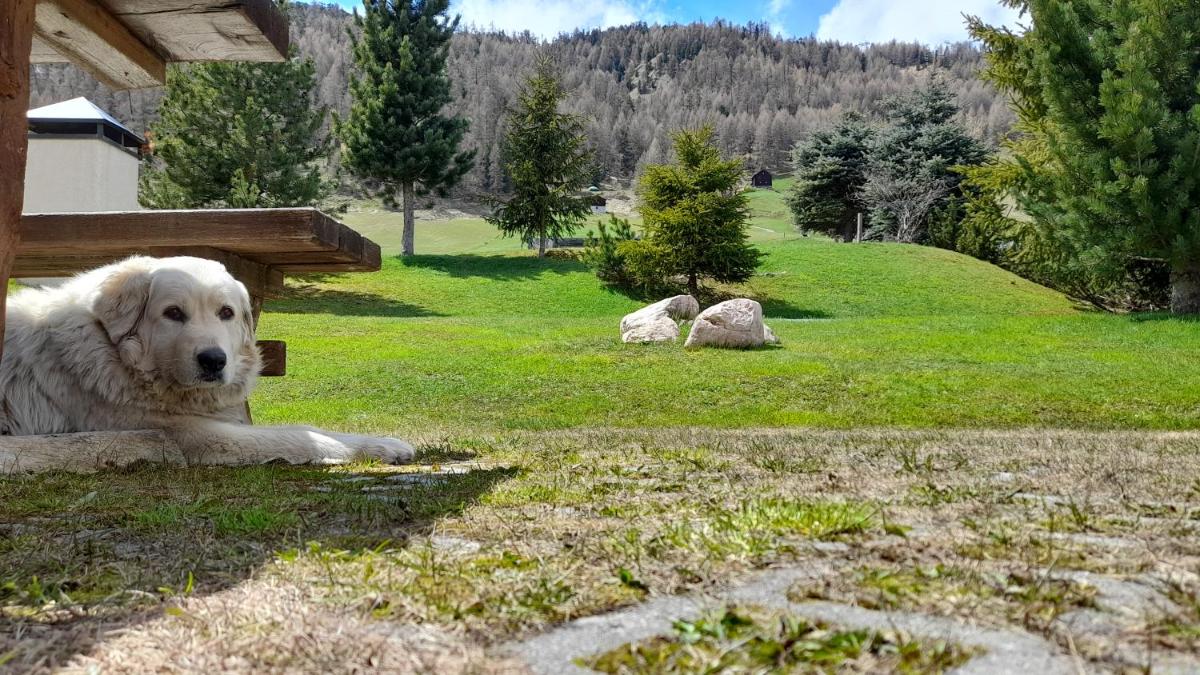 Chalet La Gualt