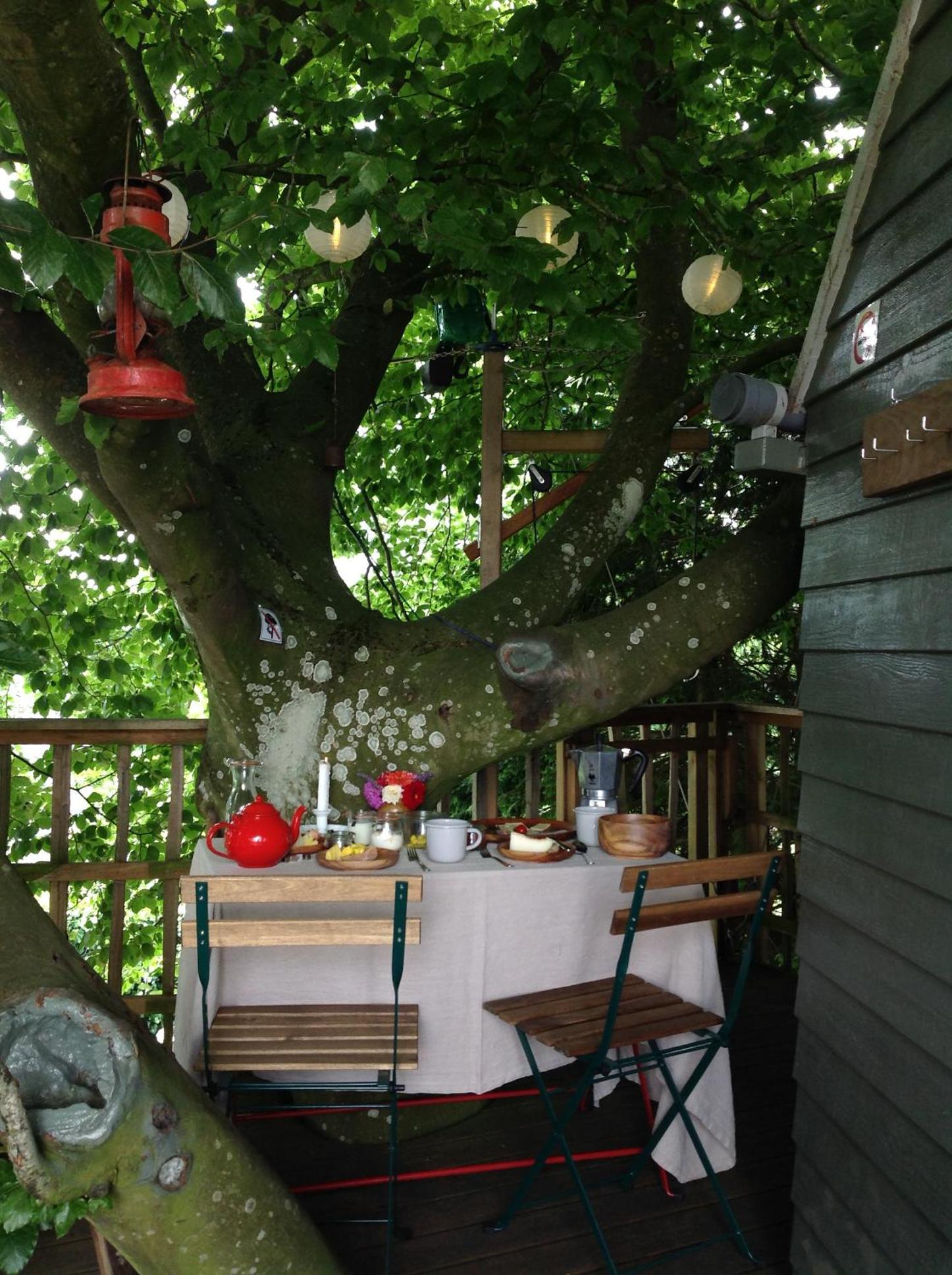 Treehouse escape