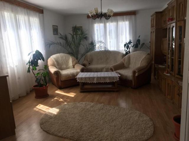 Vila Firuta Borsa