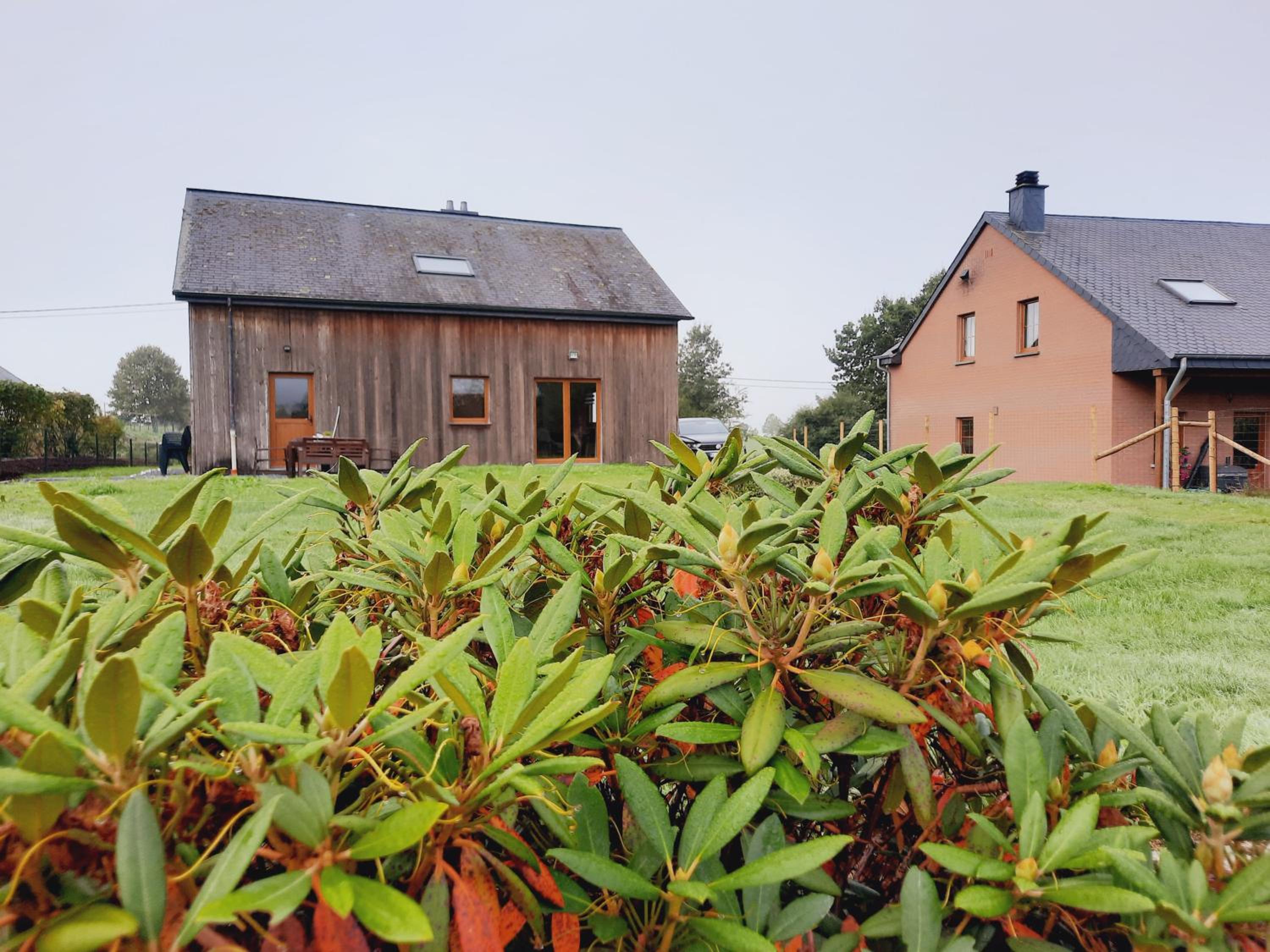Photo 42