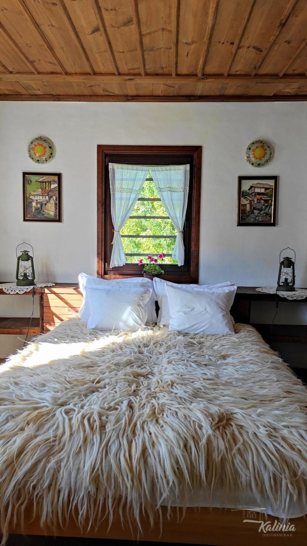 Kalinia Guesthouse B&B