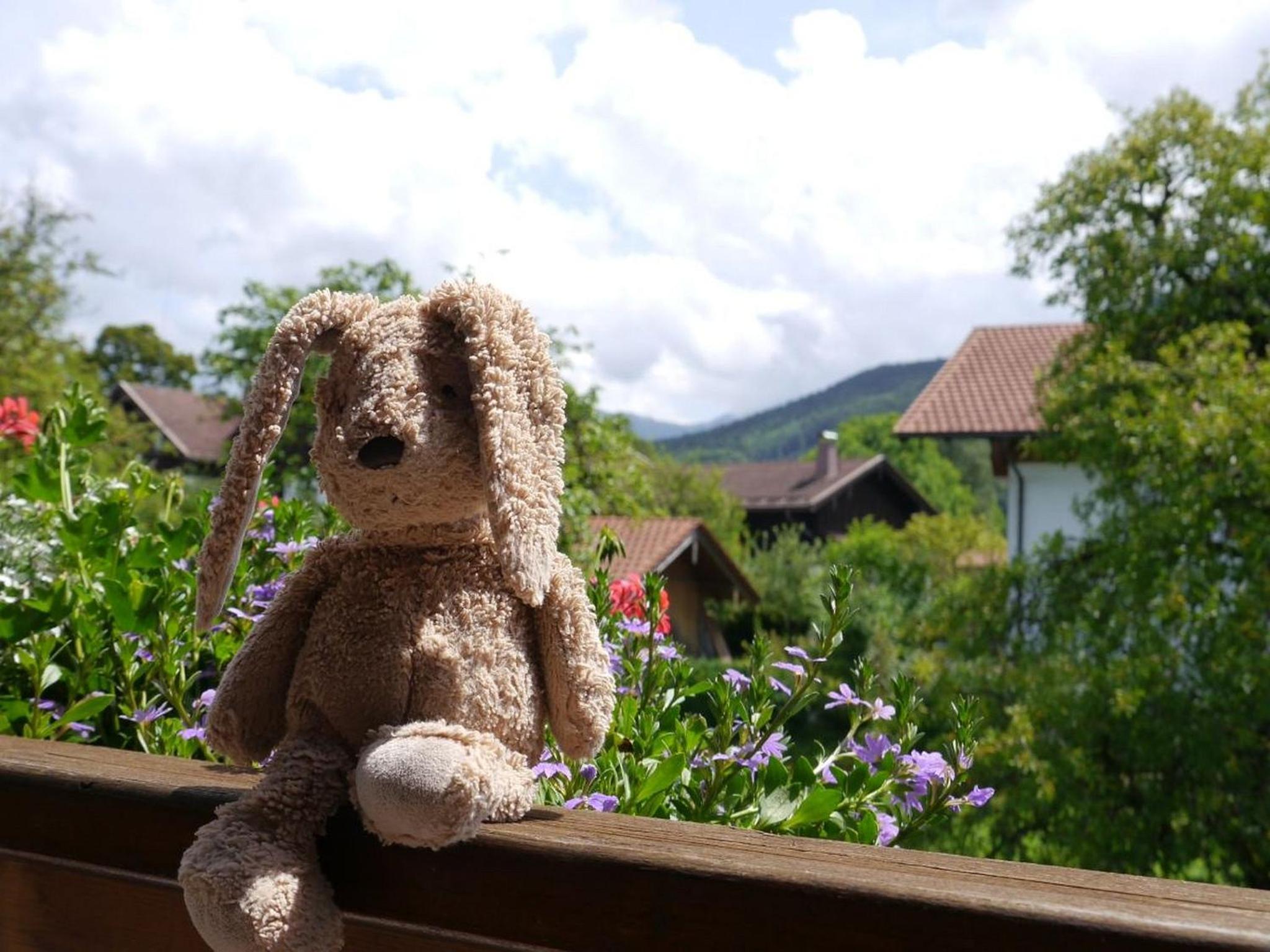 Ferienwohnungen Winkler view 3