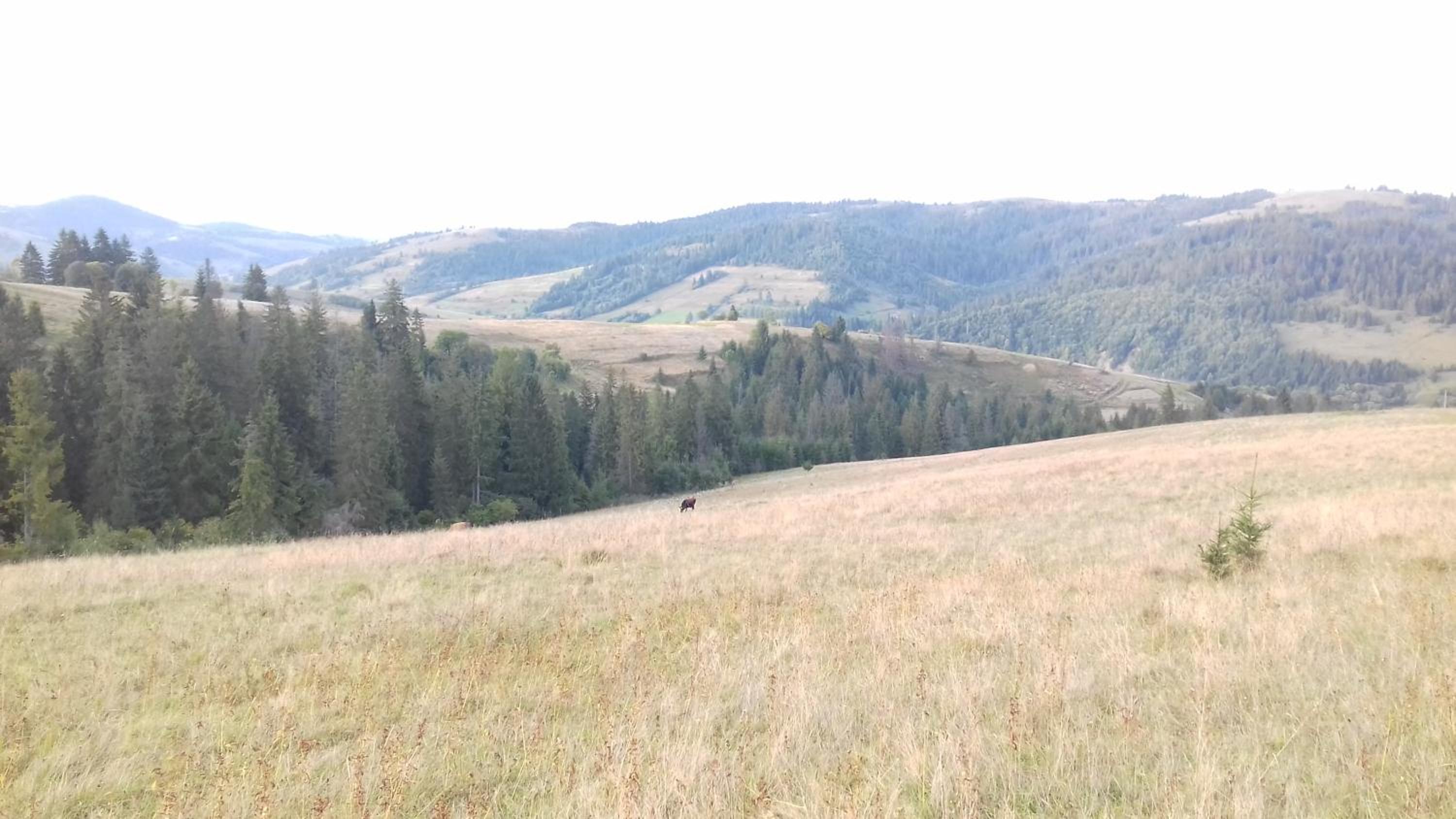 Photo 33