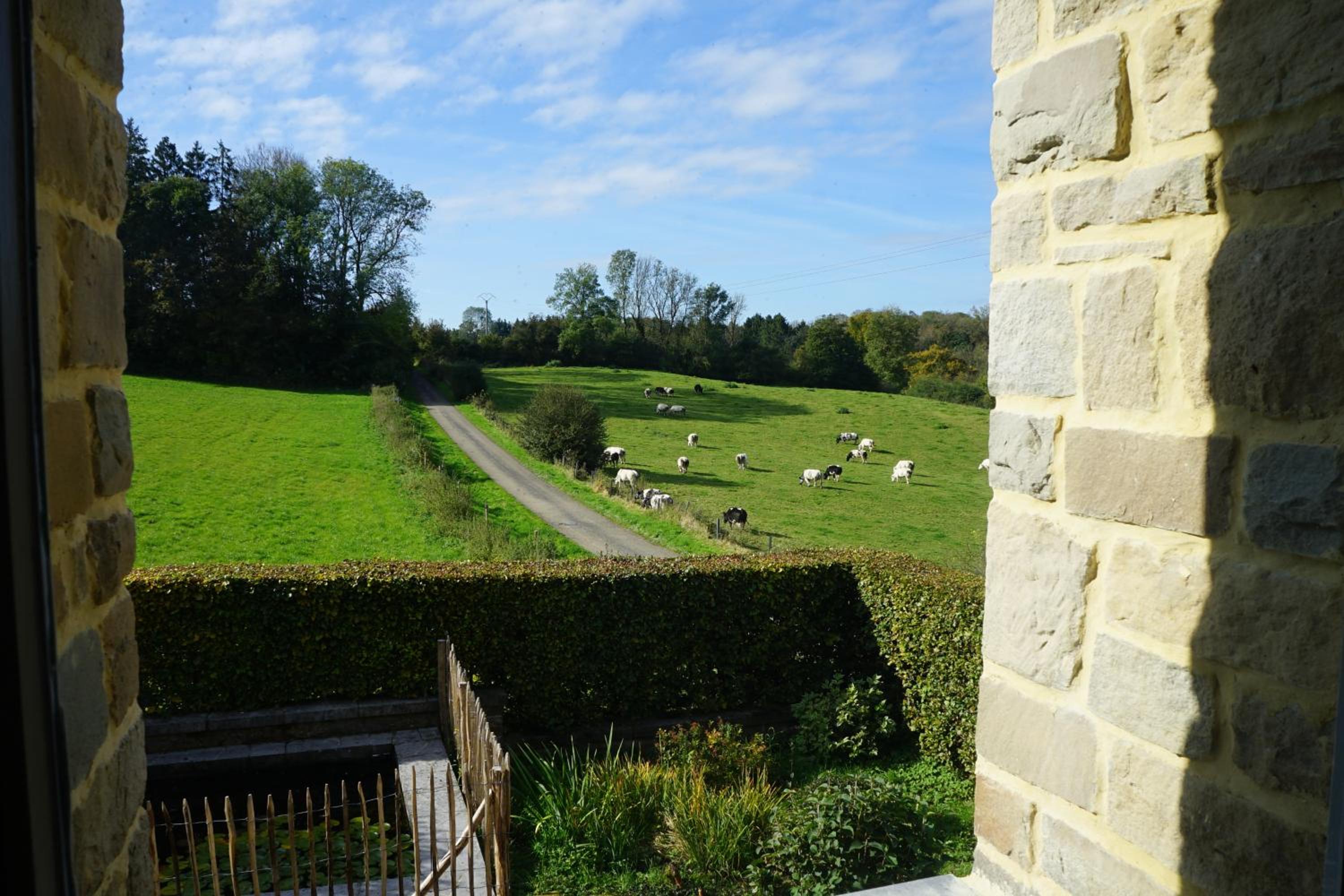 Gite rural '21 bonnes raisons' - Ossogne