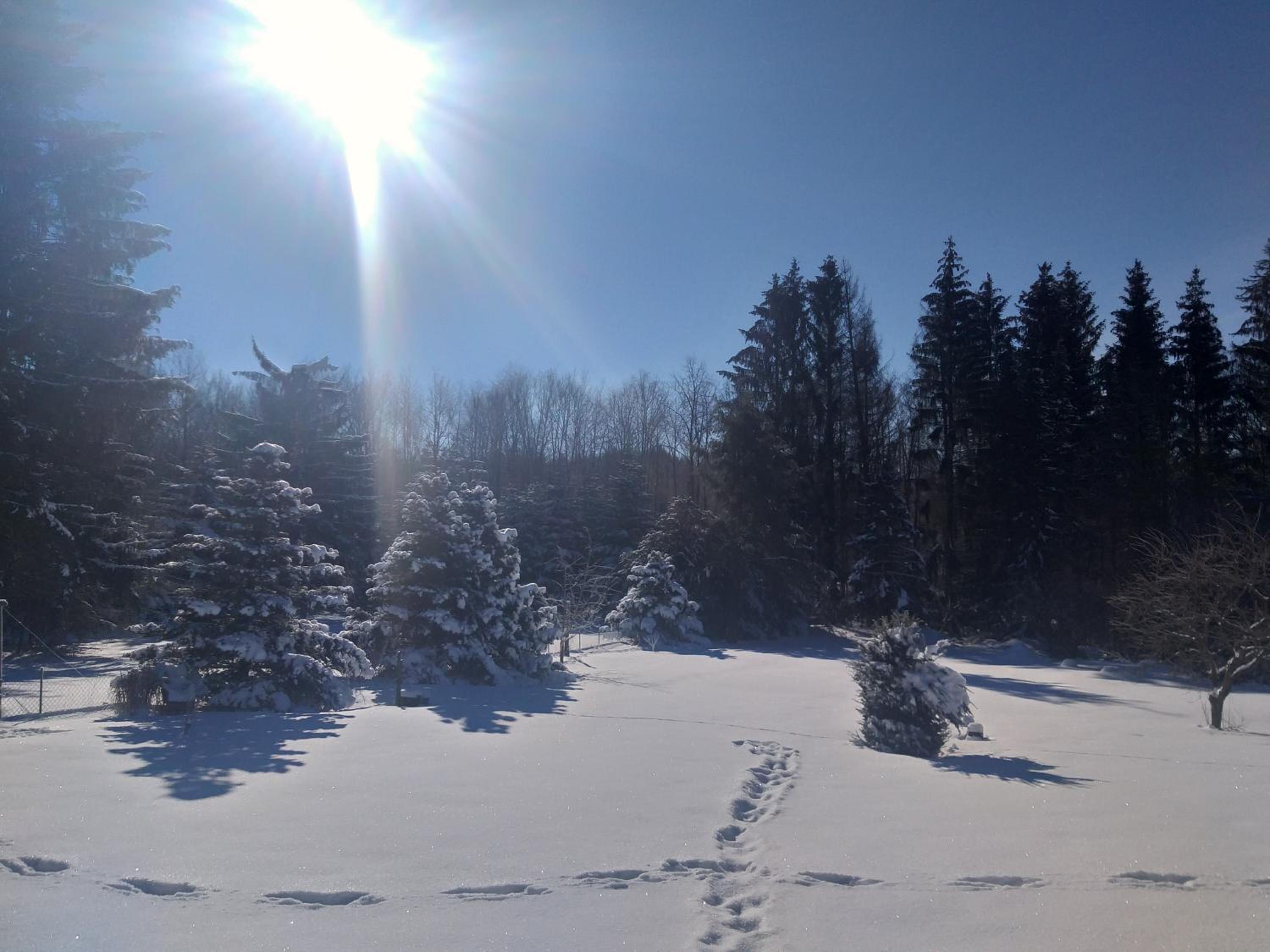 Hochwald Maxi en Bad Sachsa