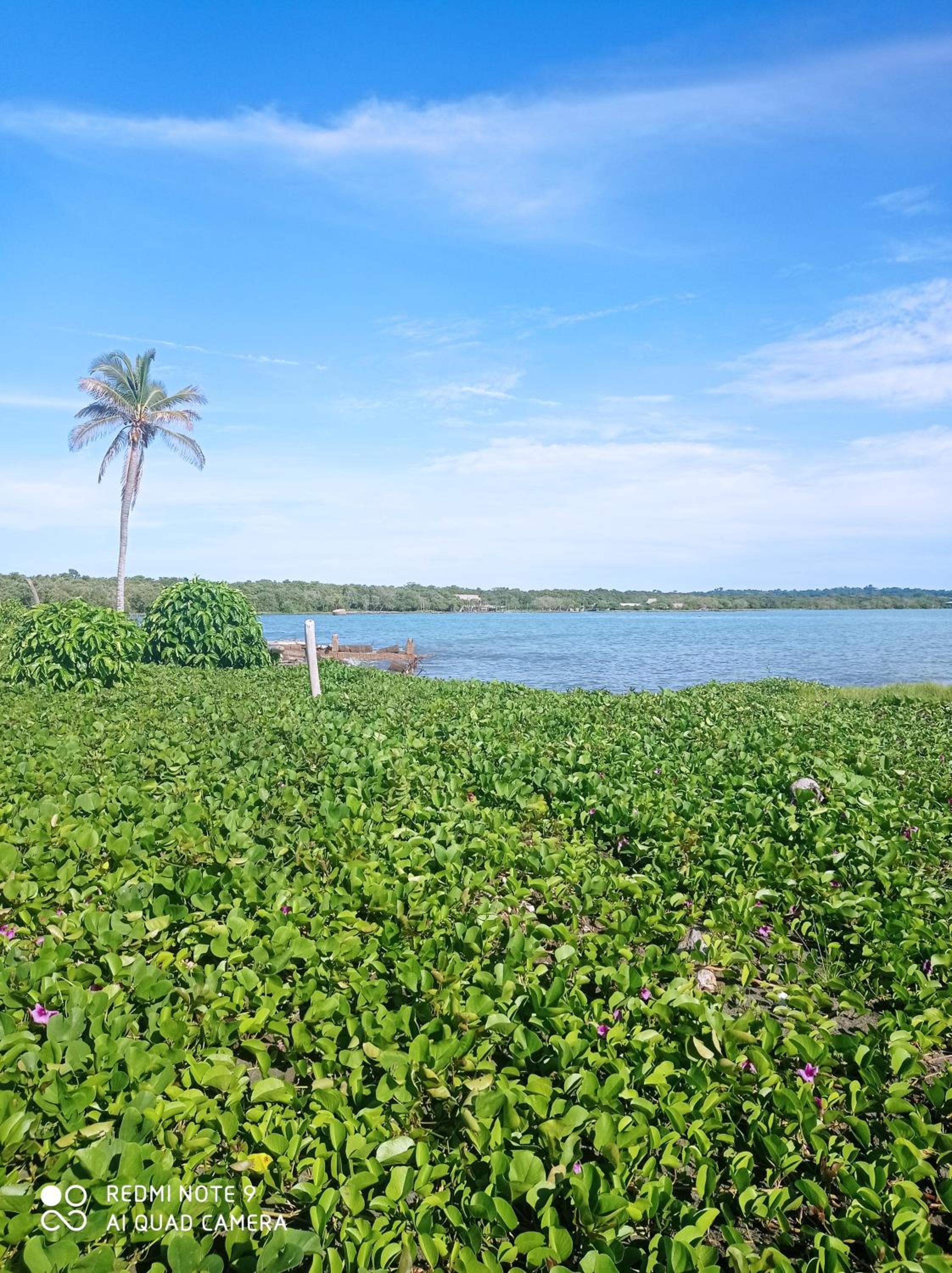 HOSTAL BELLEZA TROPICAL