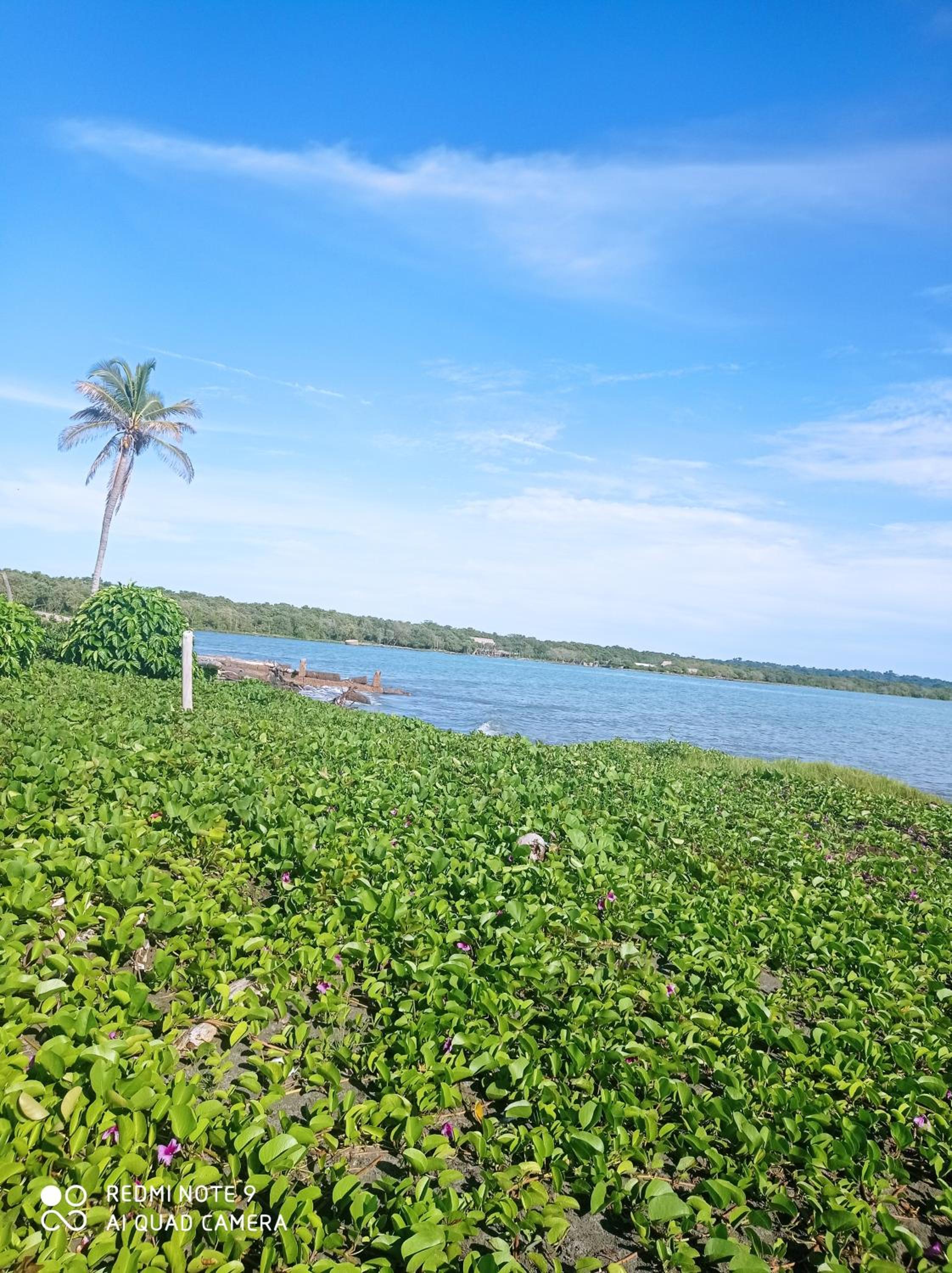 HOSTAL BELLEZA TROPICAL