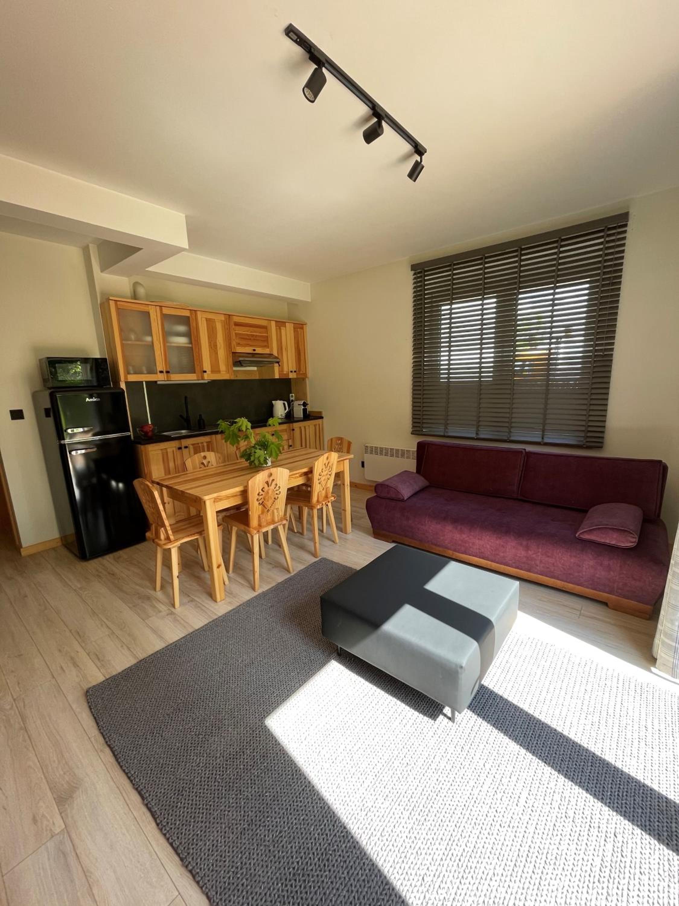 Apartament Zakopane Willa Hrube parter z tarasem i kominkiem view 4