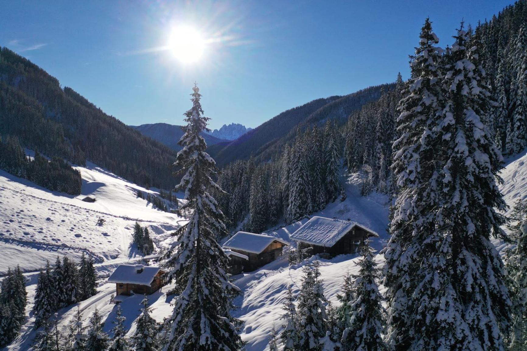 Gallfallalm
