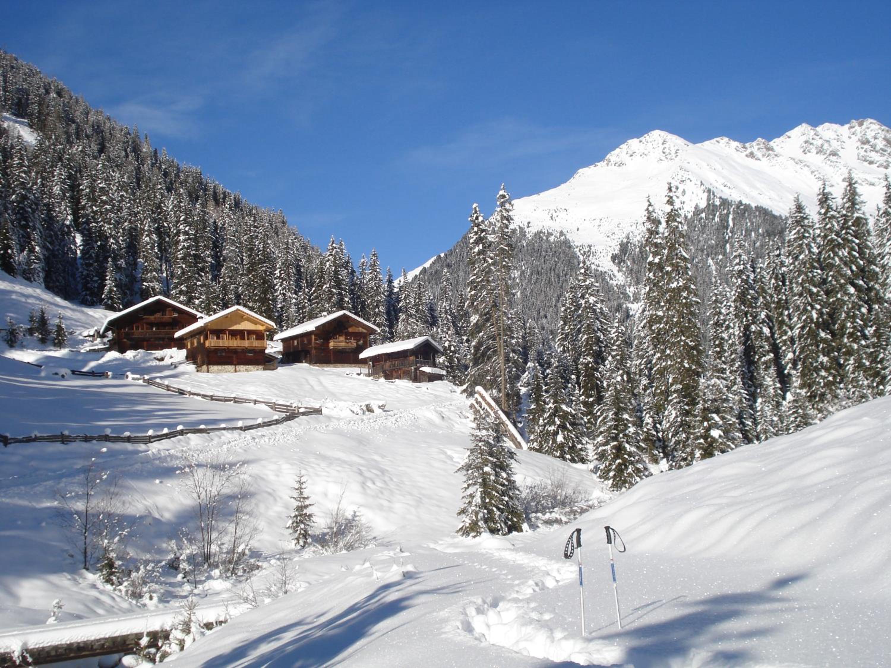 Gallfallalm
