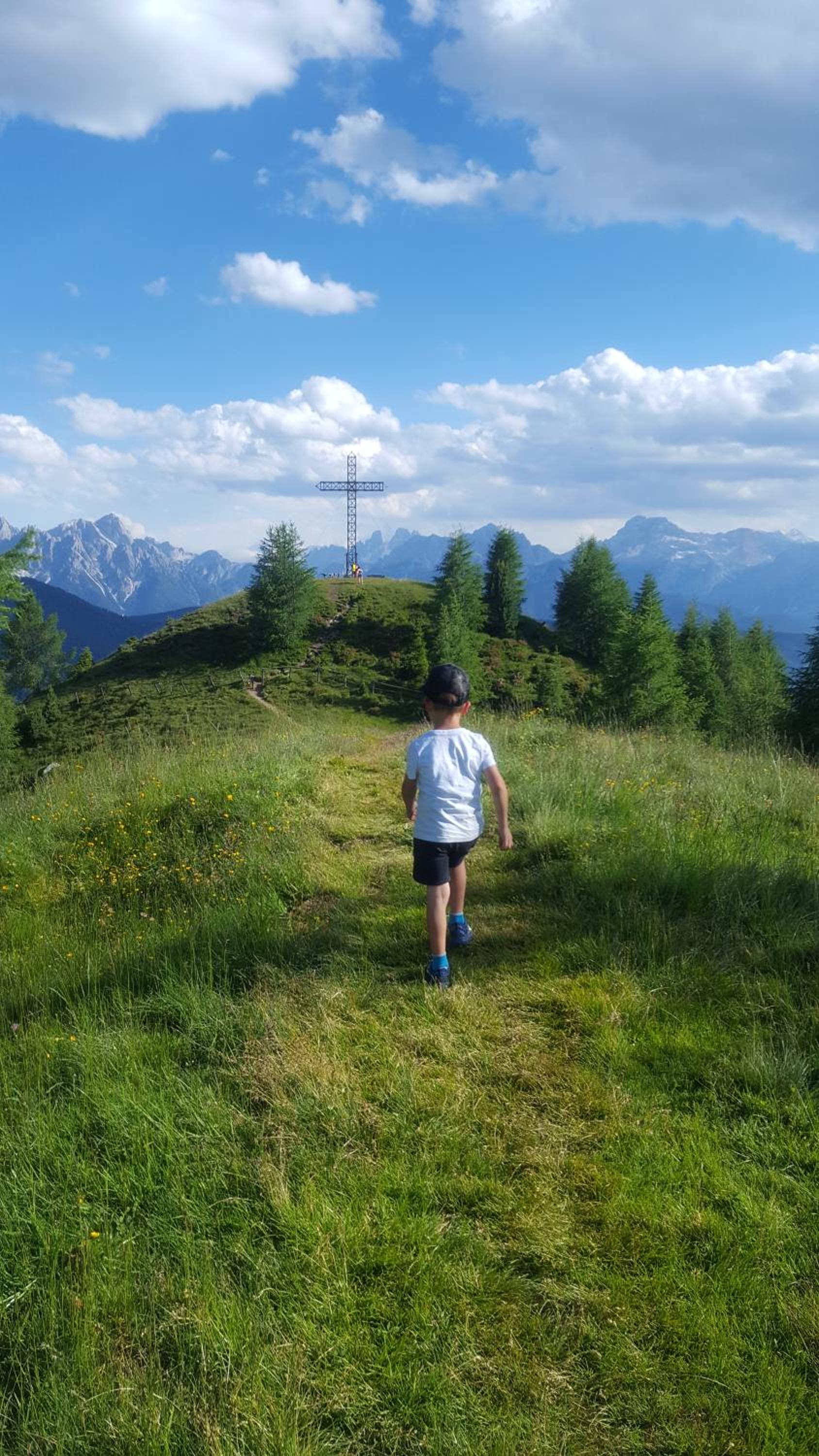Gallfallalm