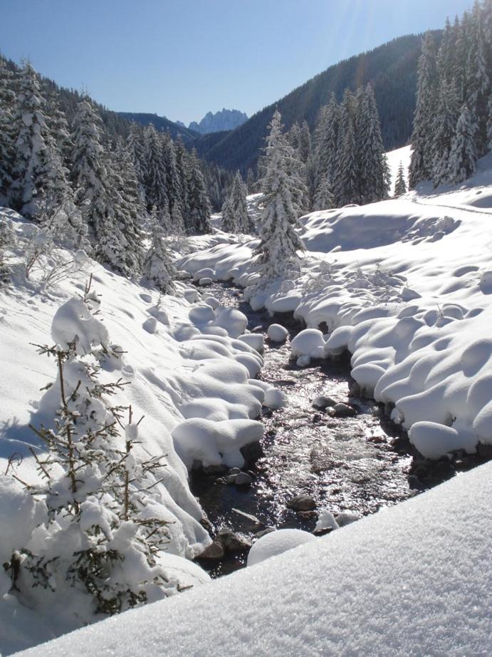 Gallfallalm