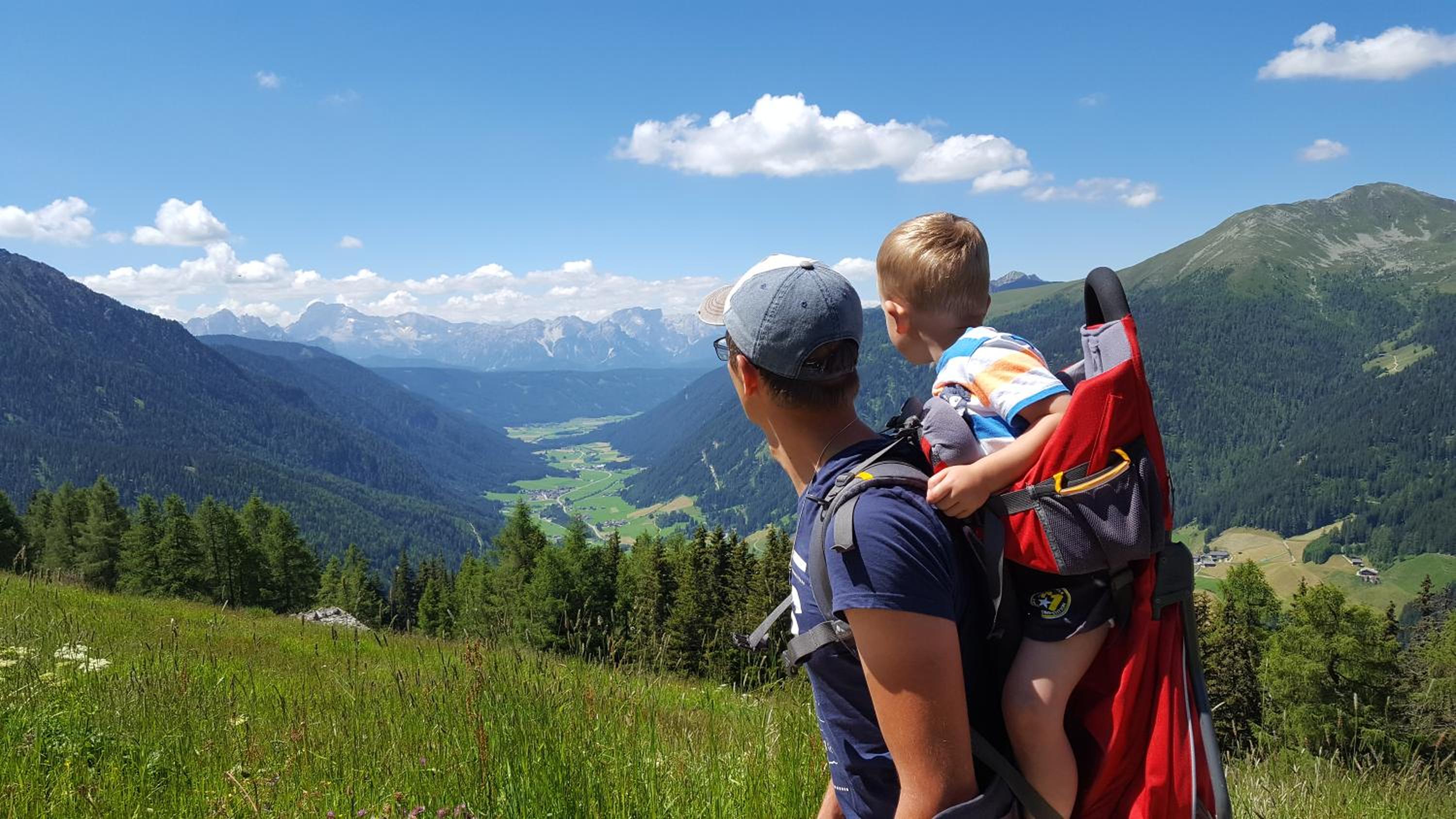 Gallfallalm