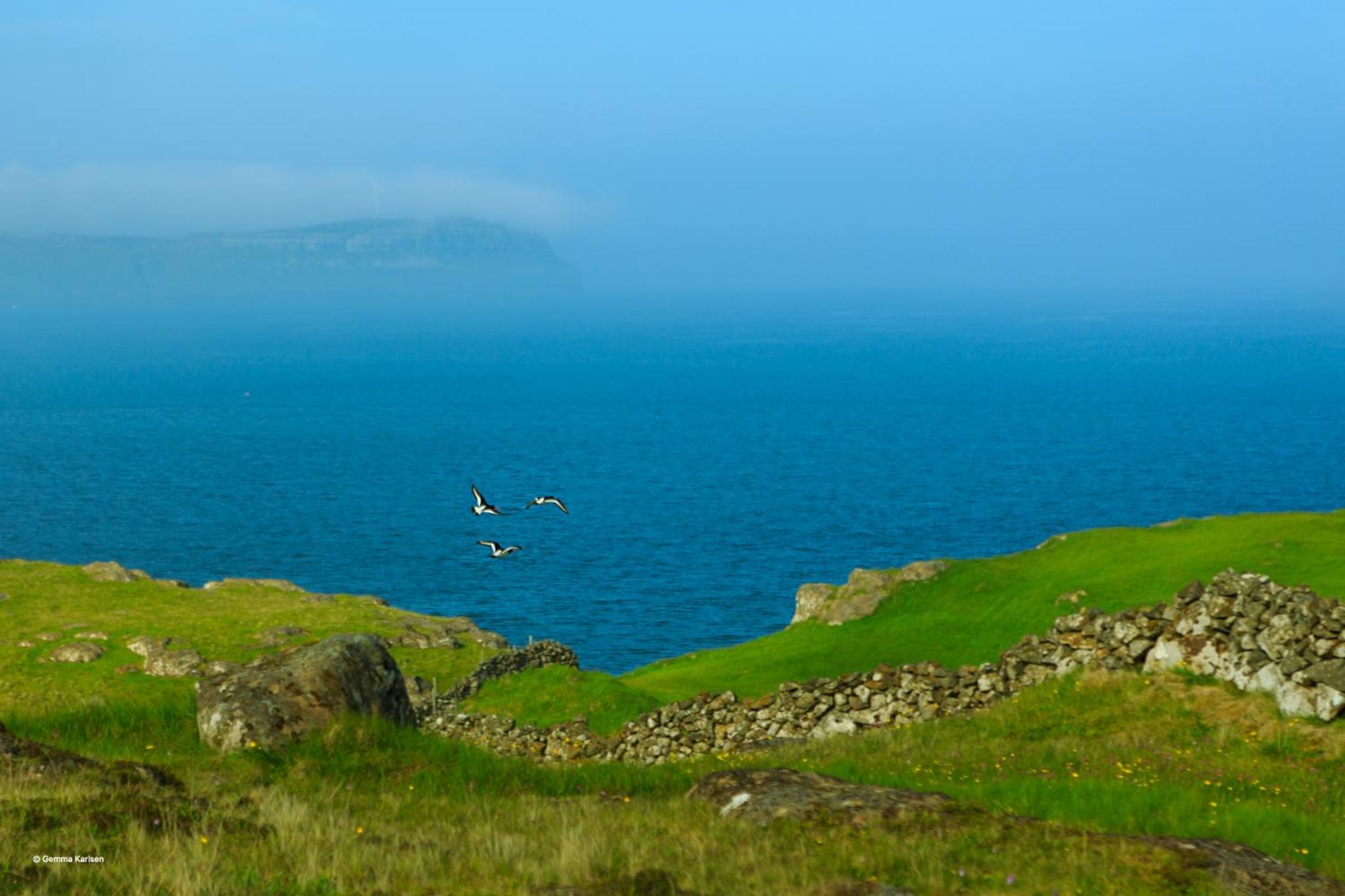 FaroeGuide seaview villa and apartment