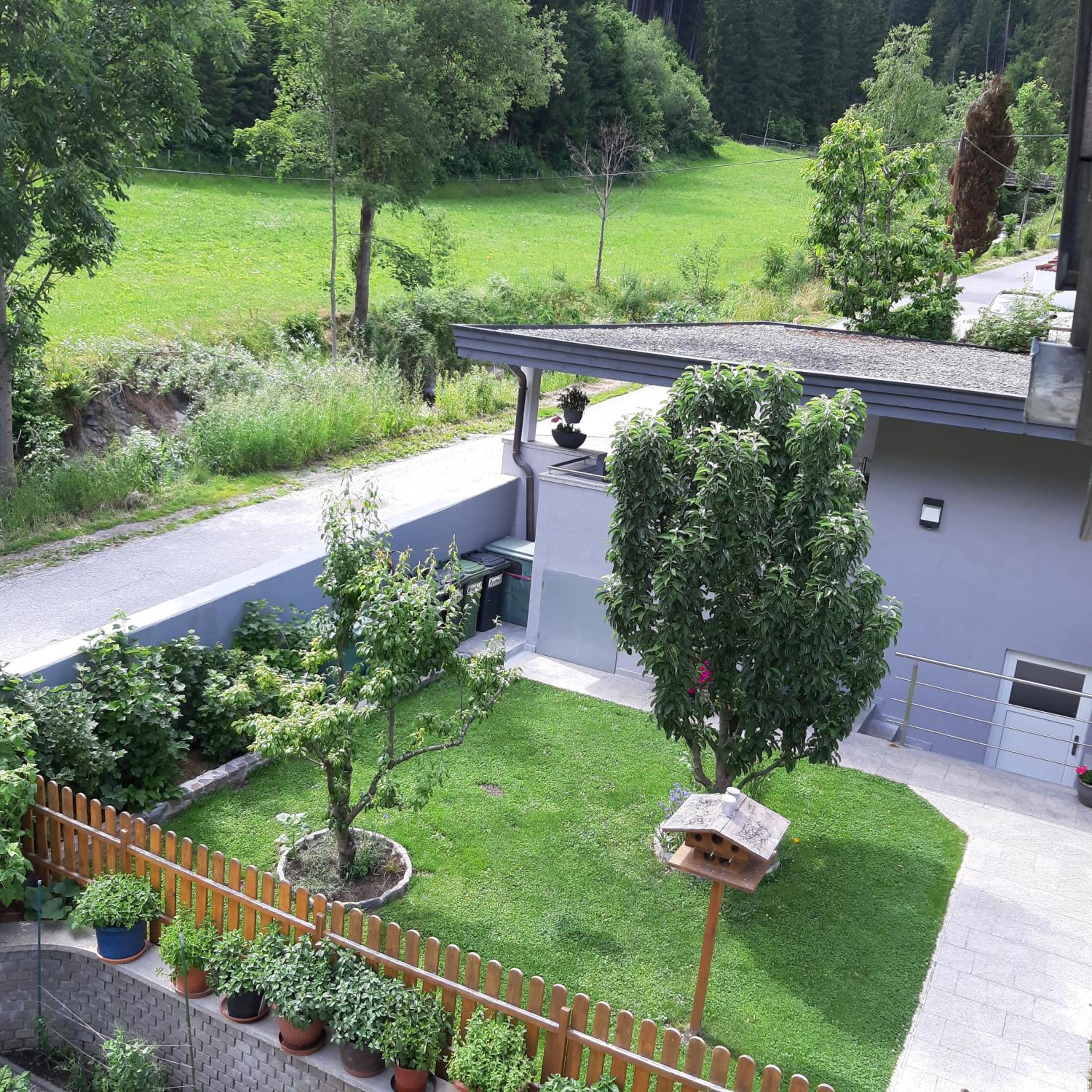 Photo 10