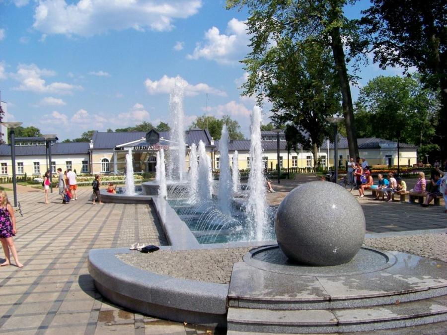 Apartment in Druskininkai City Centre
