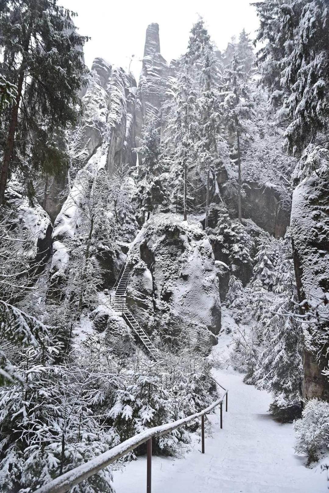 Penzion Čtyřlístek