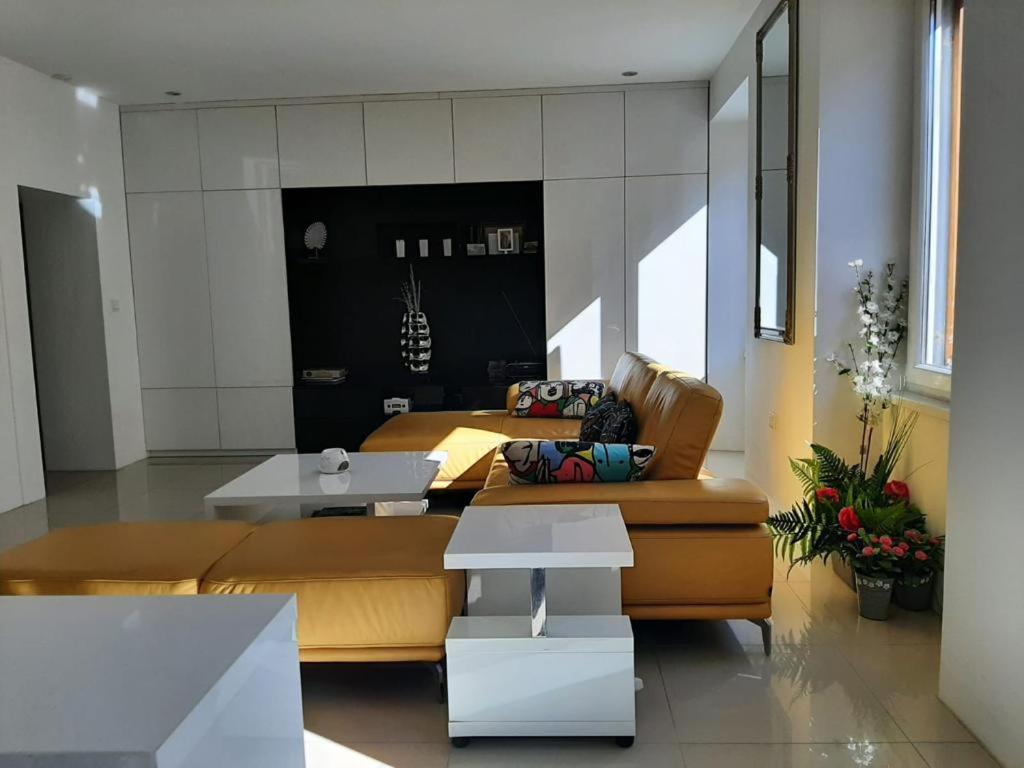 Apartment Lux view 2