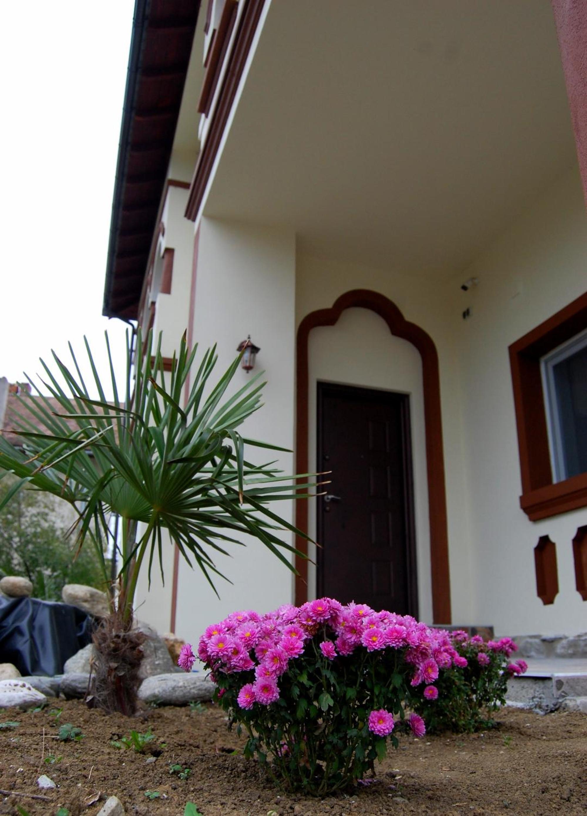 Photo 40