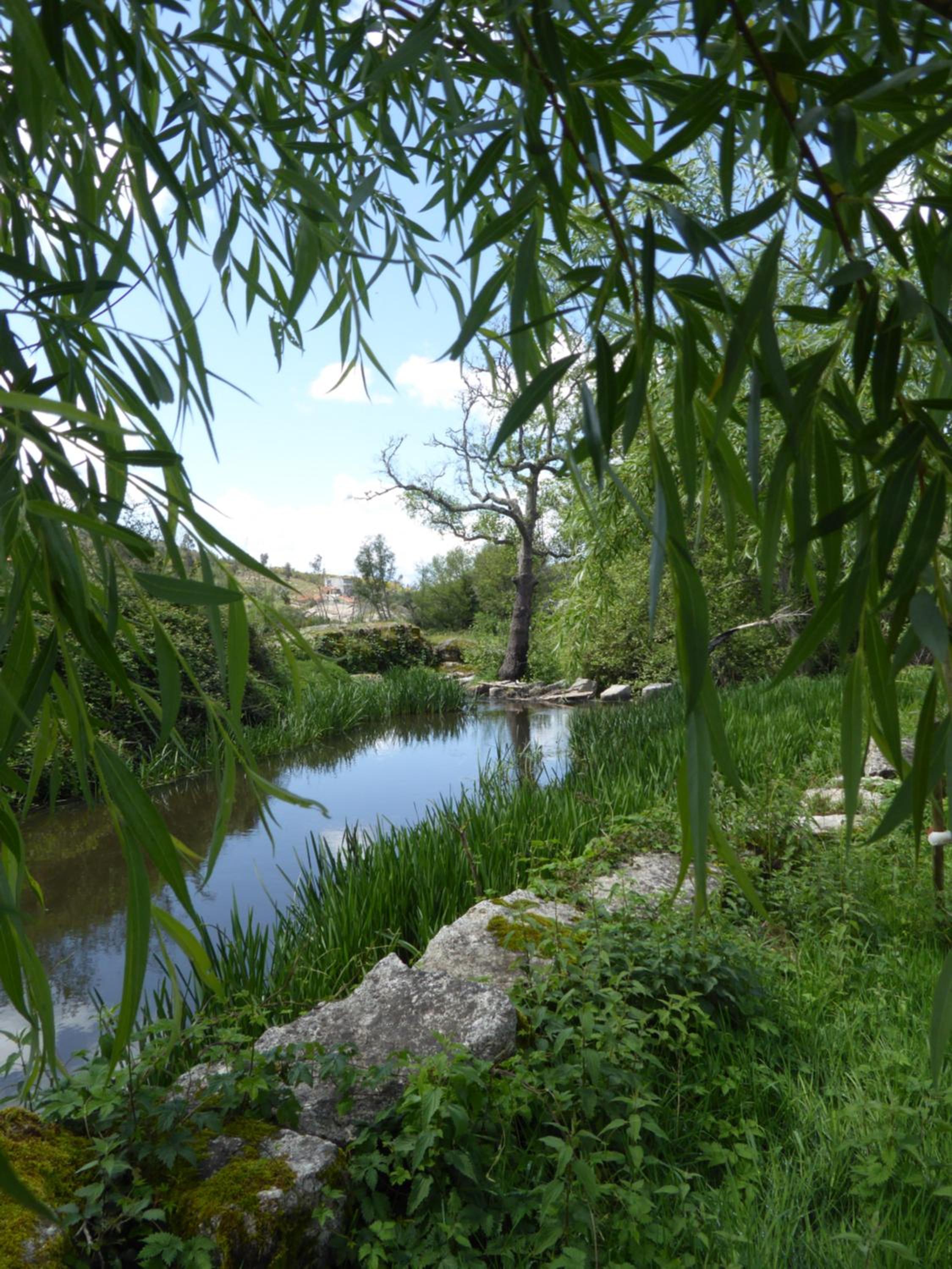 Photo 38