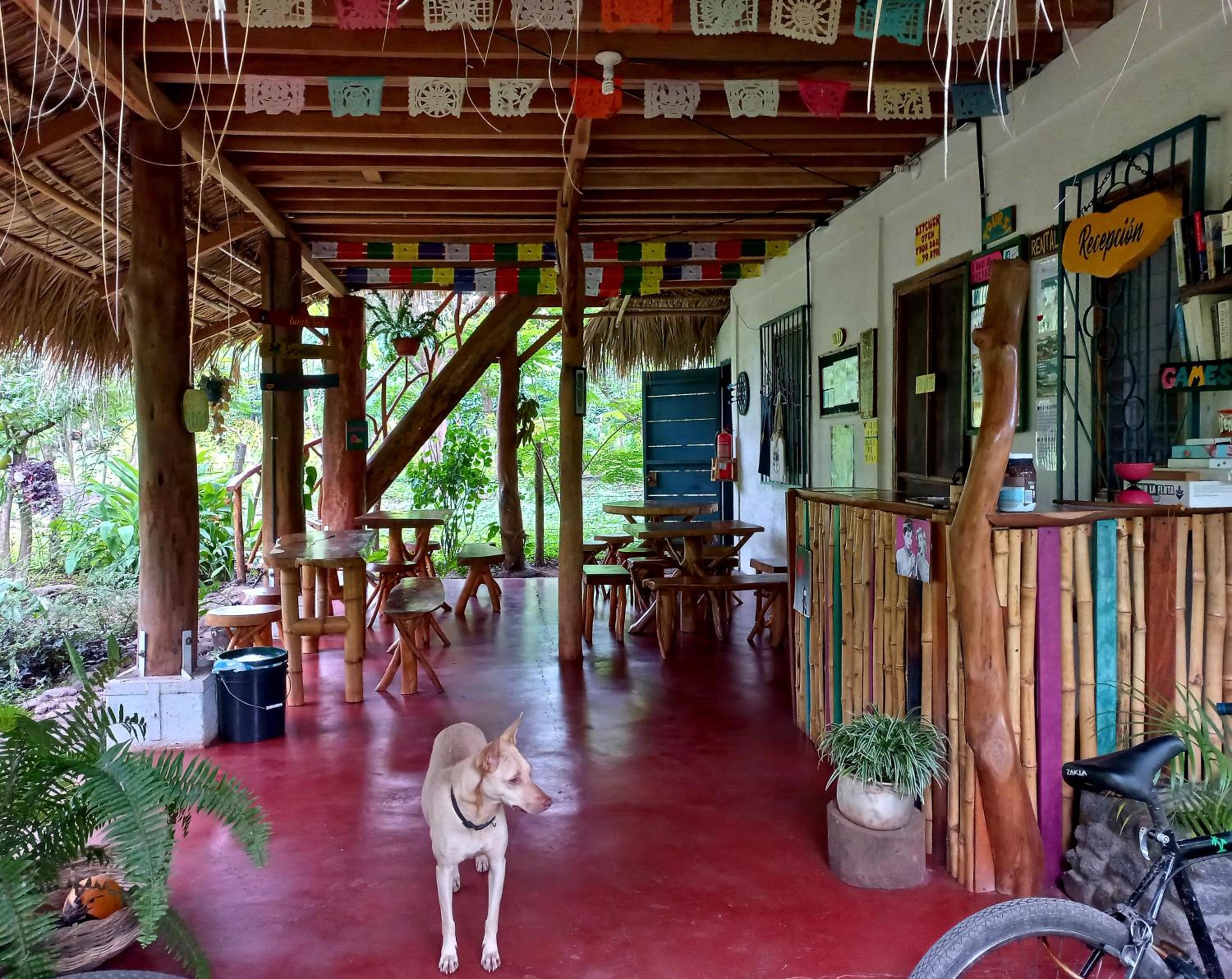 La Urraca Loca Hostel view 2