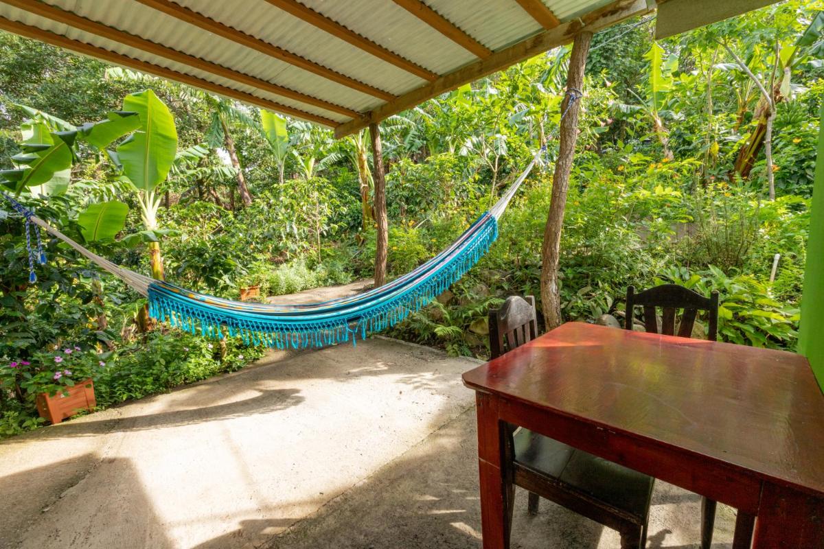 Monte Santo Y Café