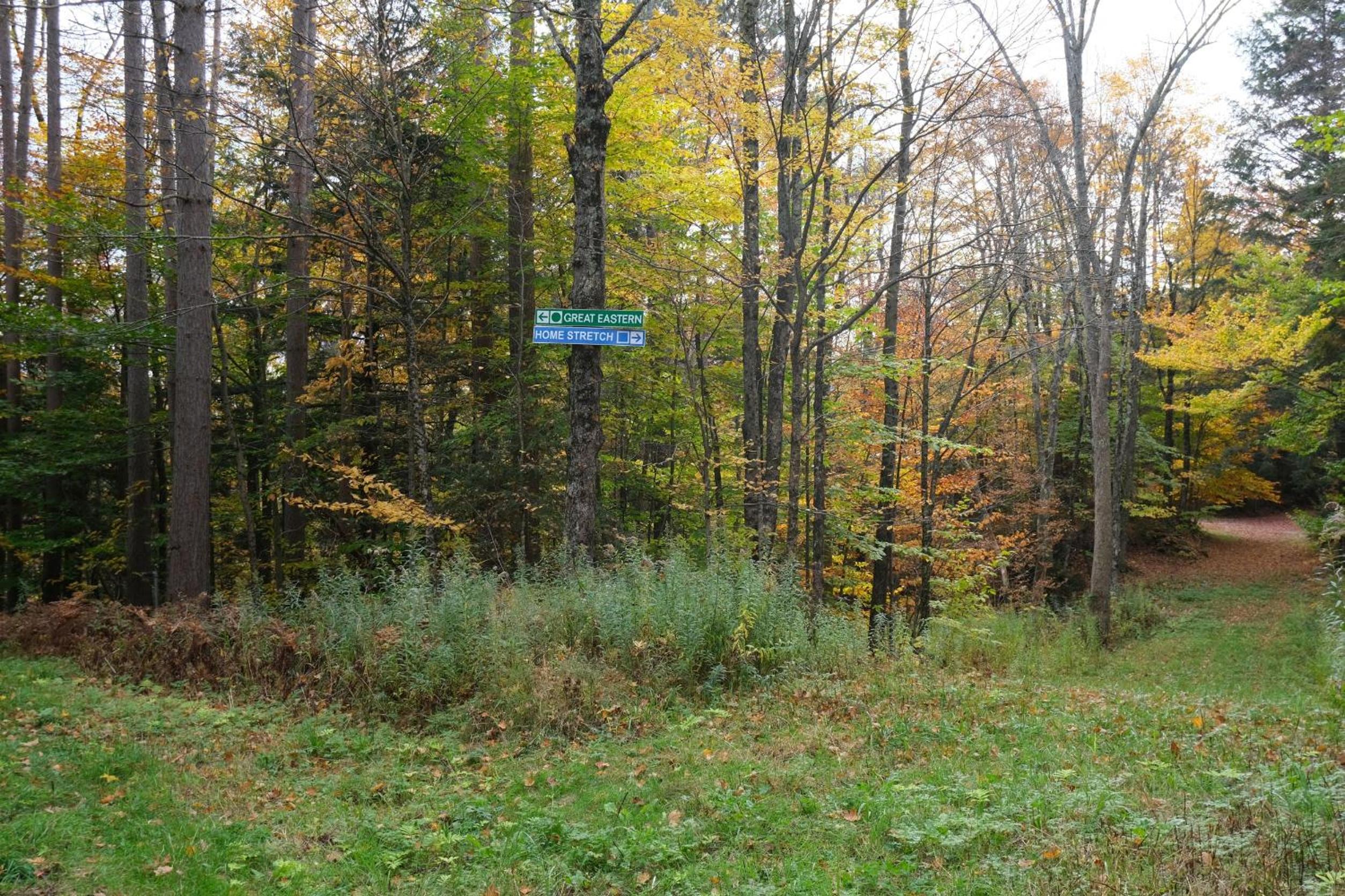 Ski in/out Spruce Glen Townhomes on Great Eastern Trail