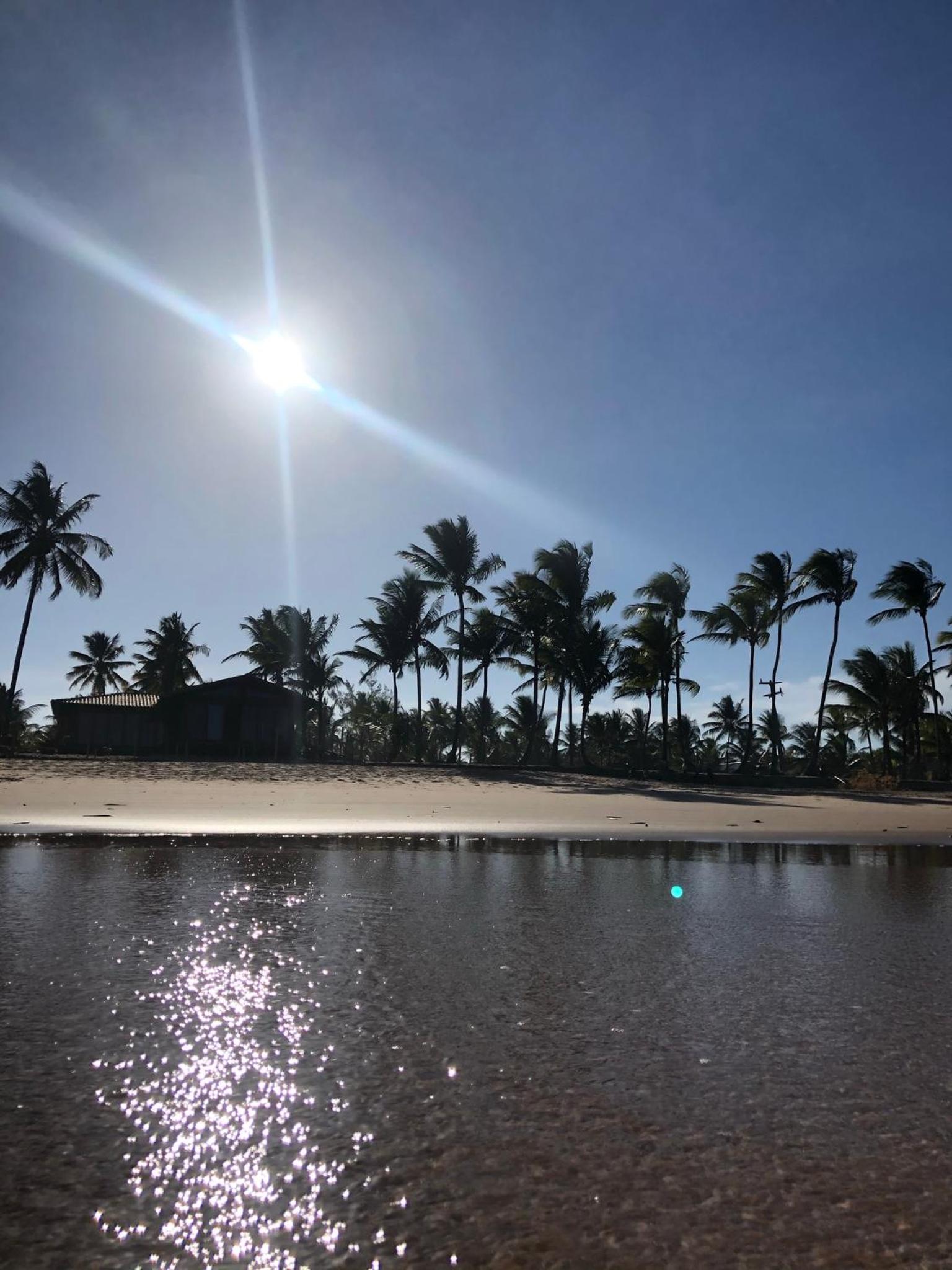 Maui Maui Wellness- Taipu de Fora - Barra Grande