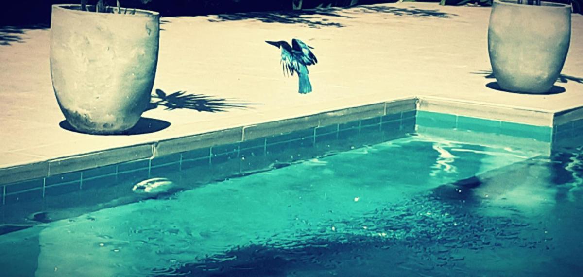 Photo 9