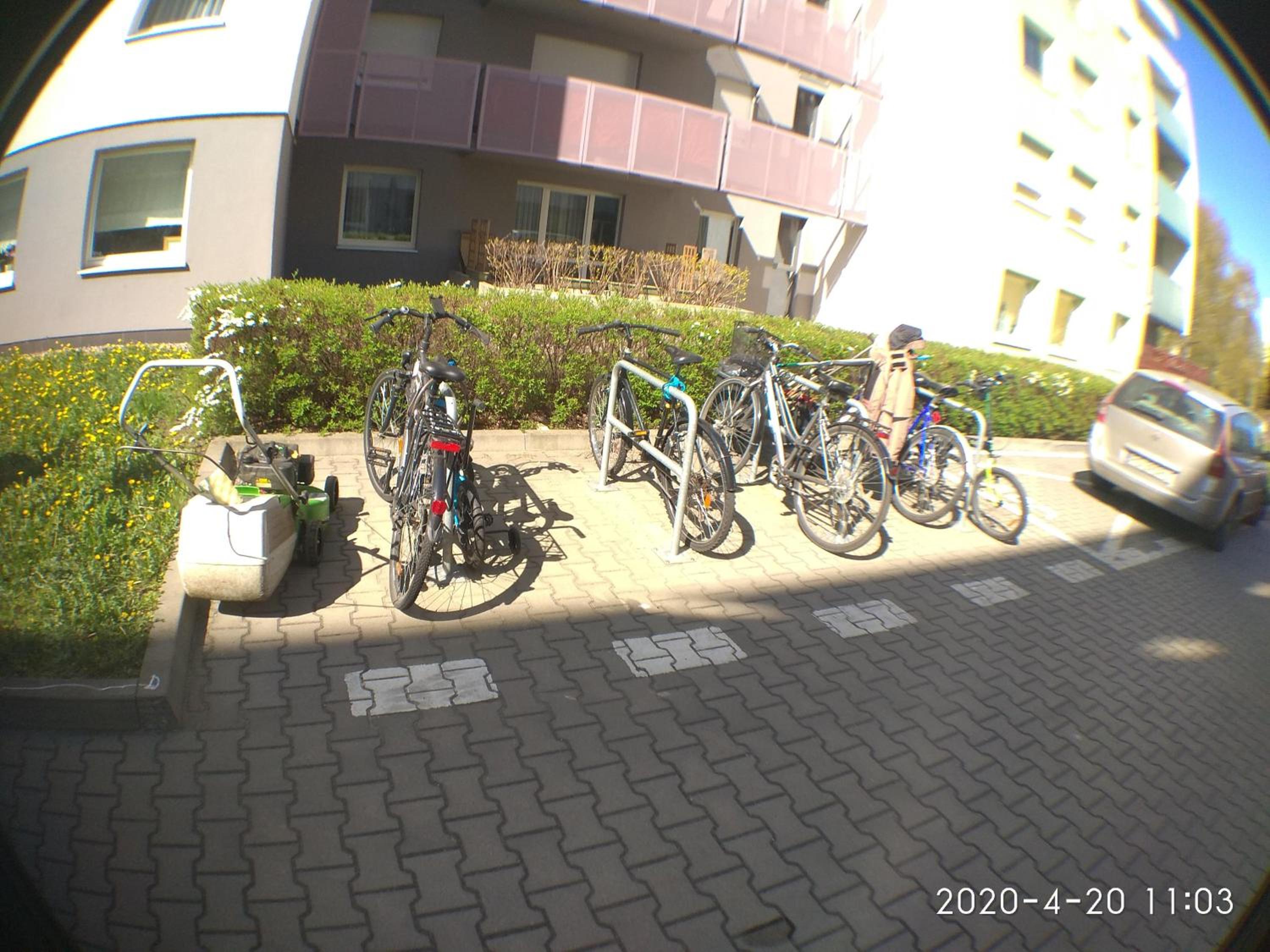 Photo 10