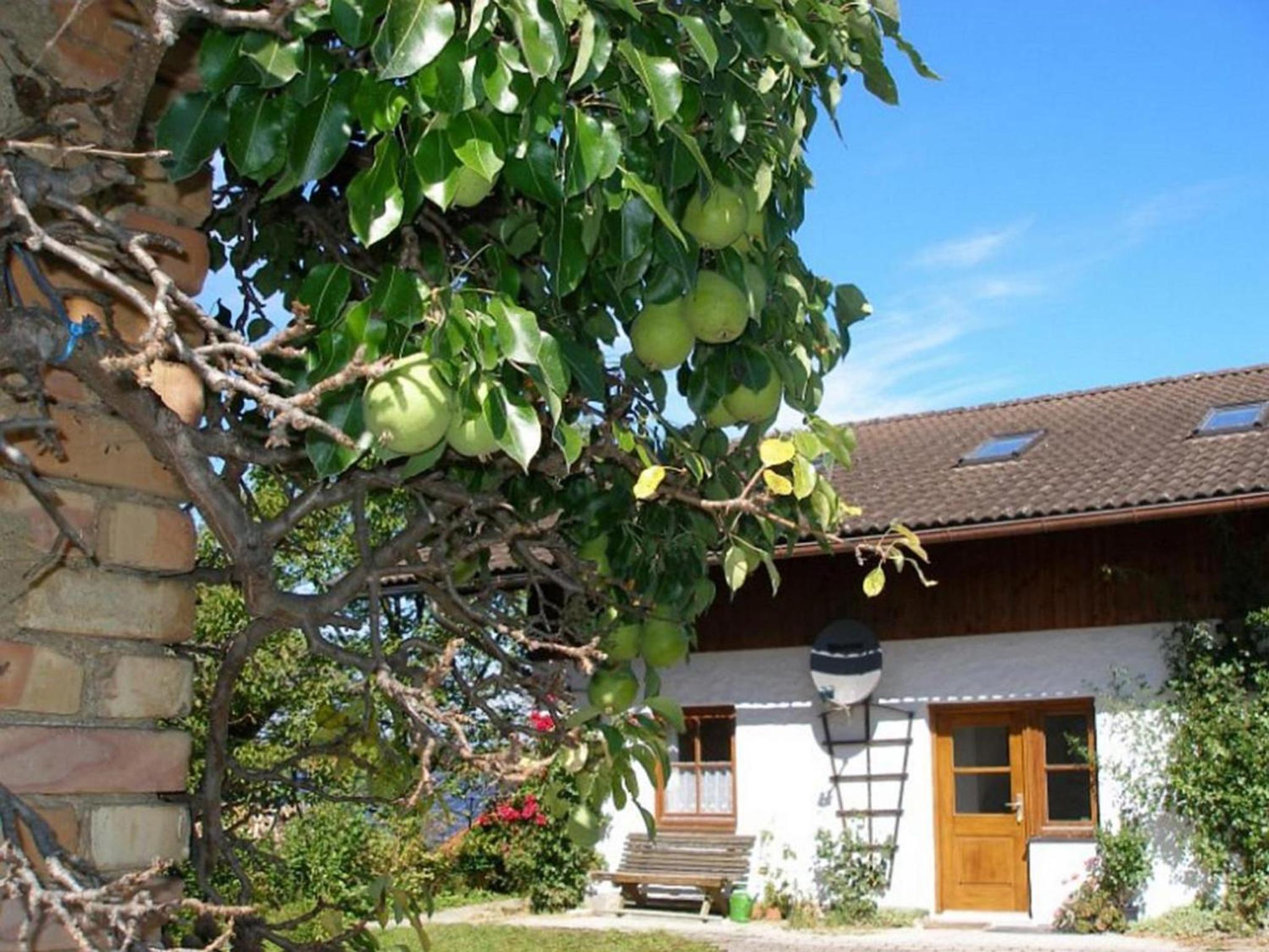 Gschwingerhof view 2