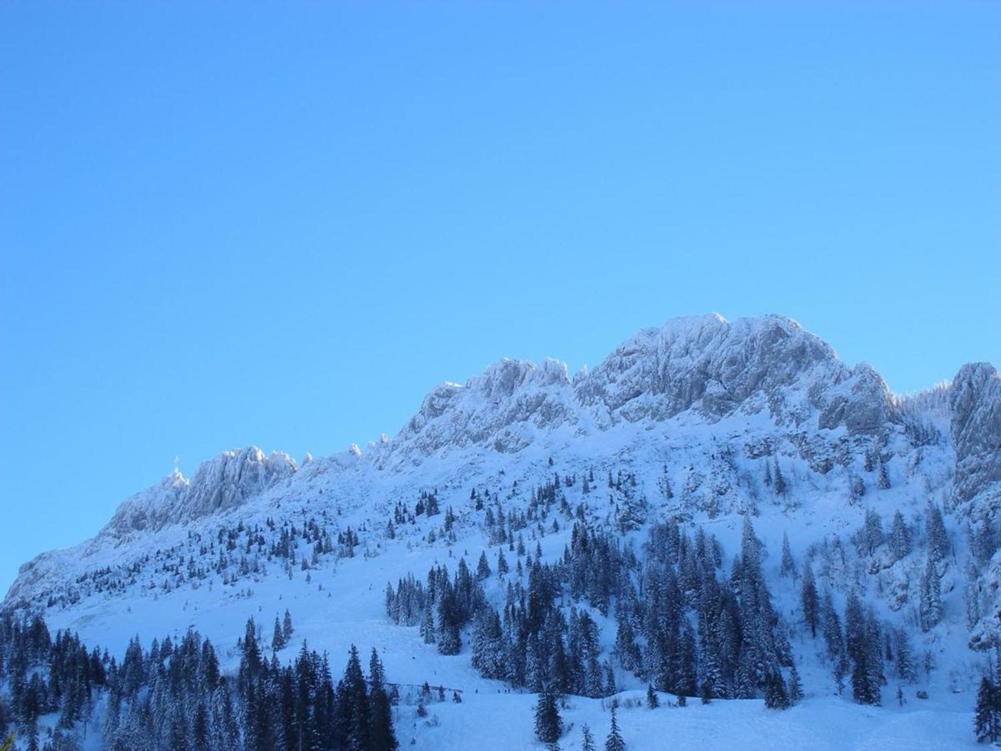 Gschwingerhof view 4