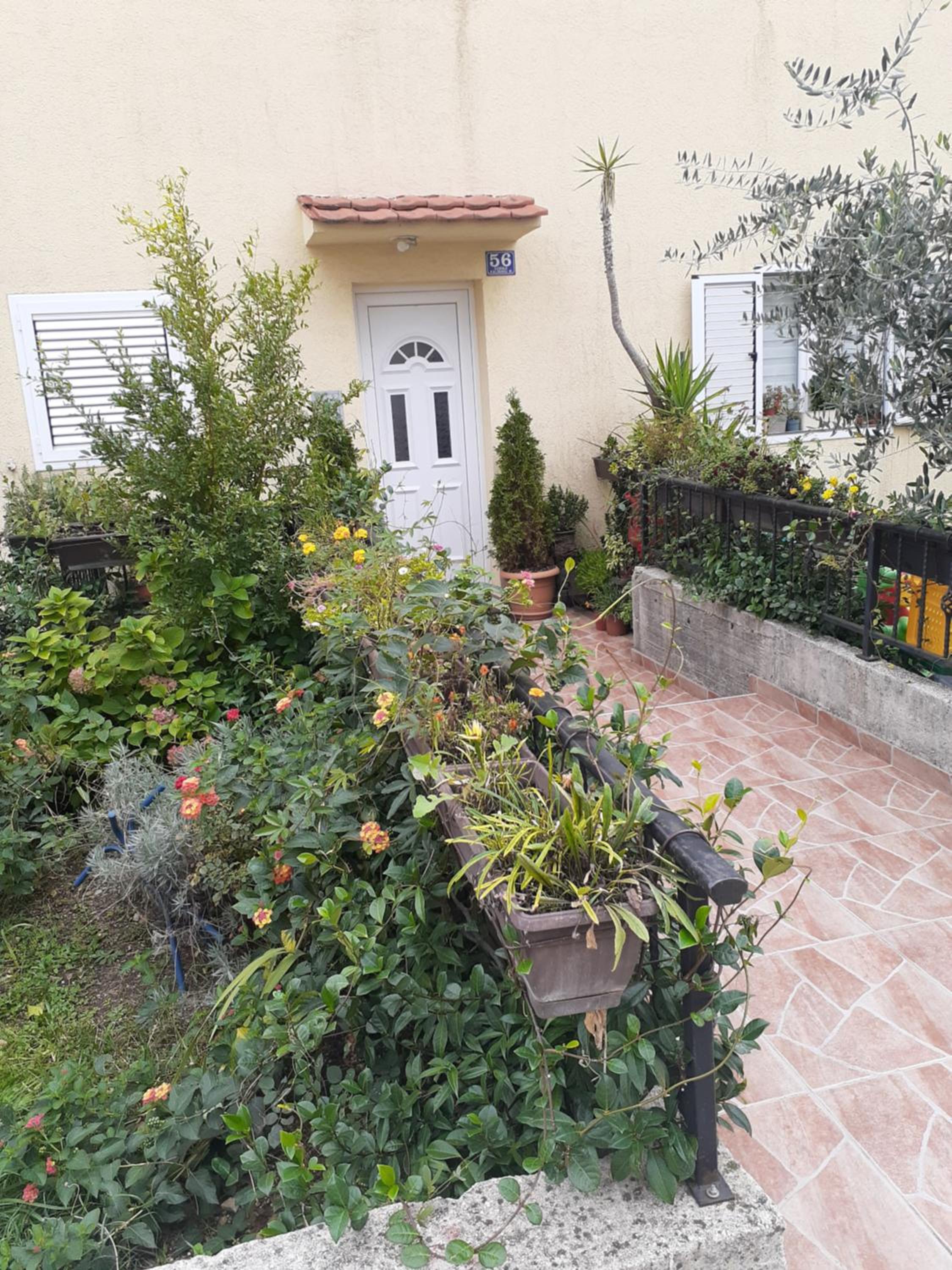 Photo 8