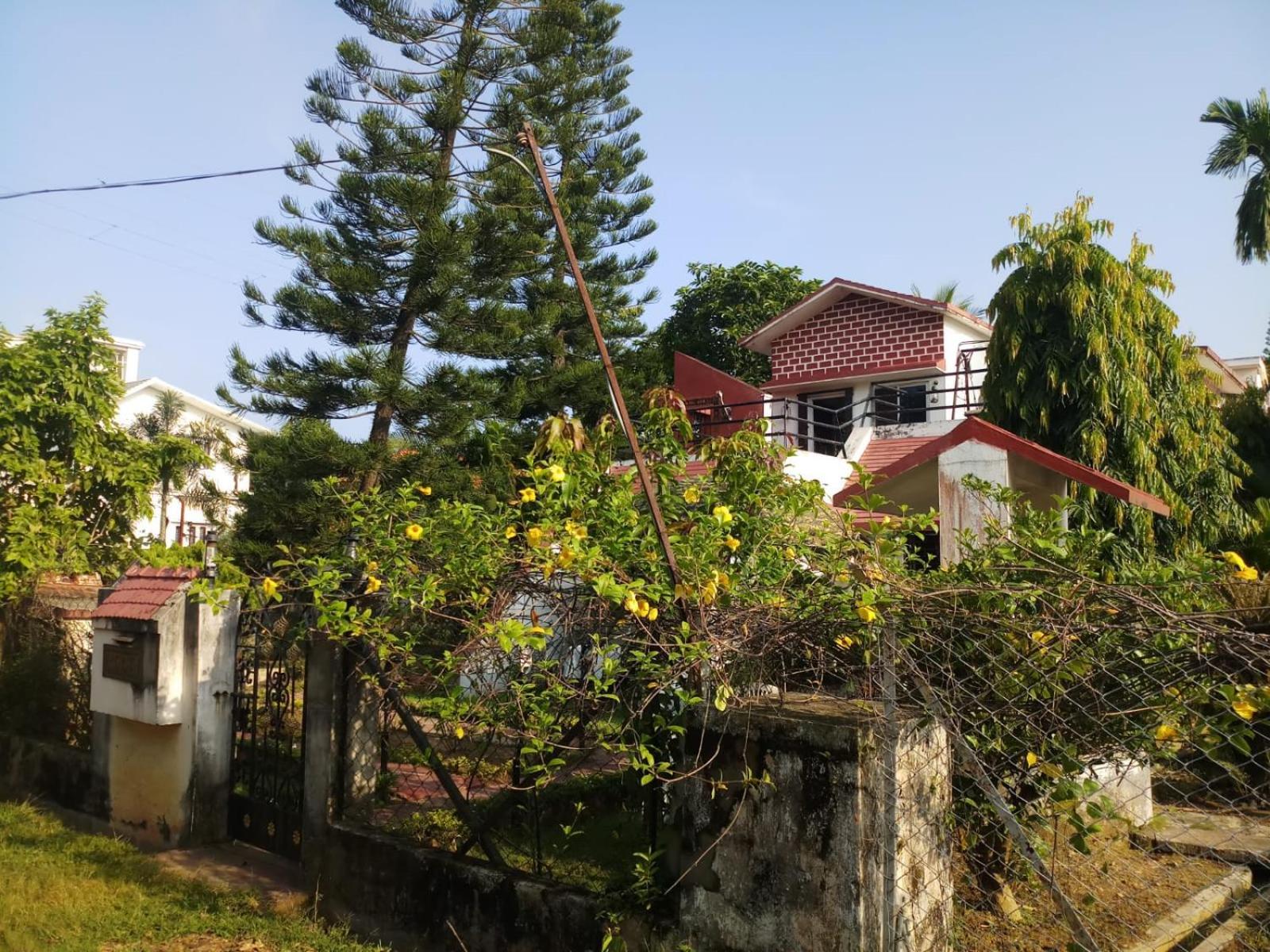 Photo 20