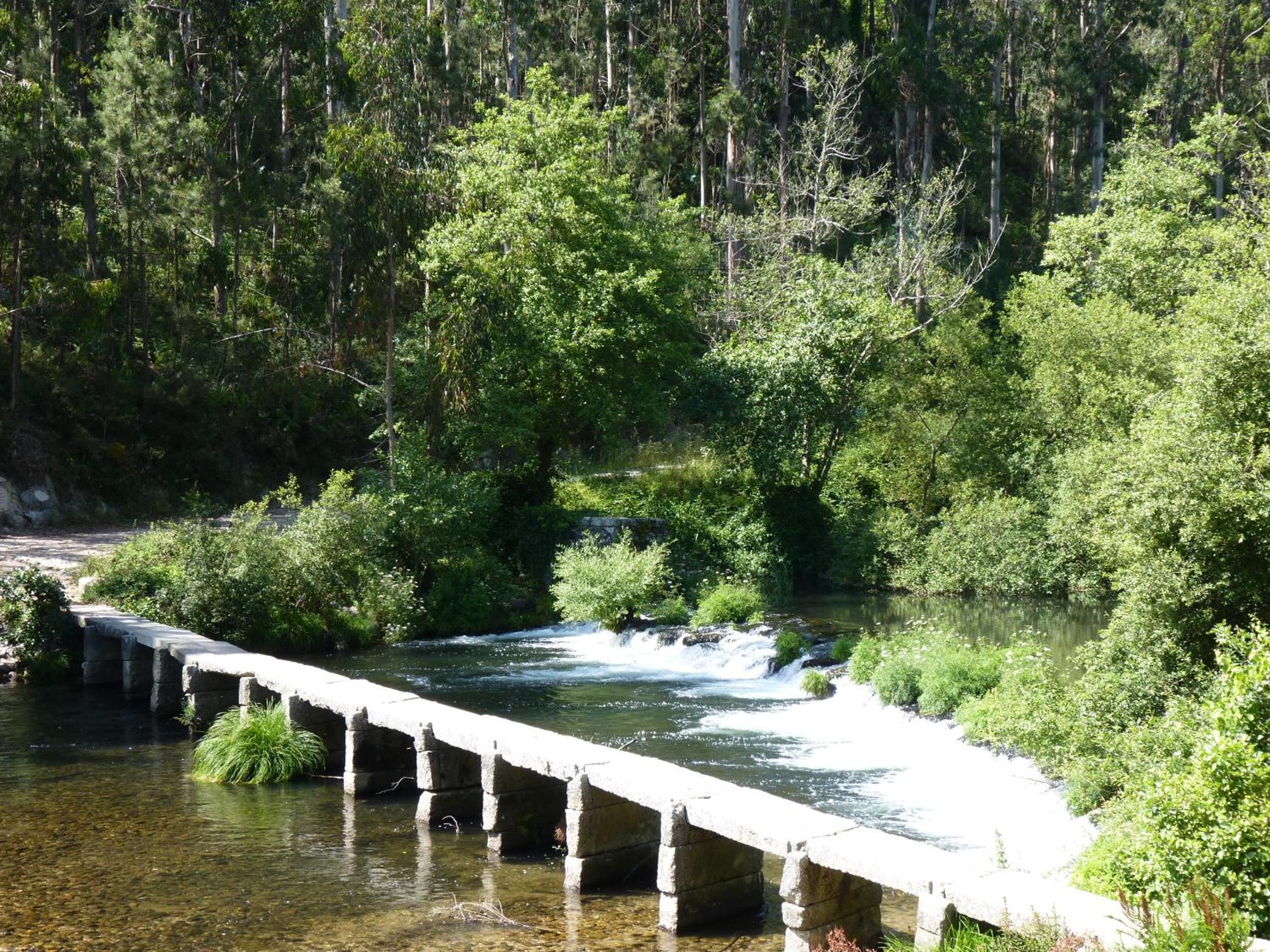 Photo 46