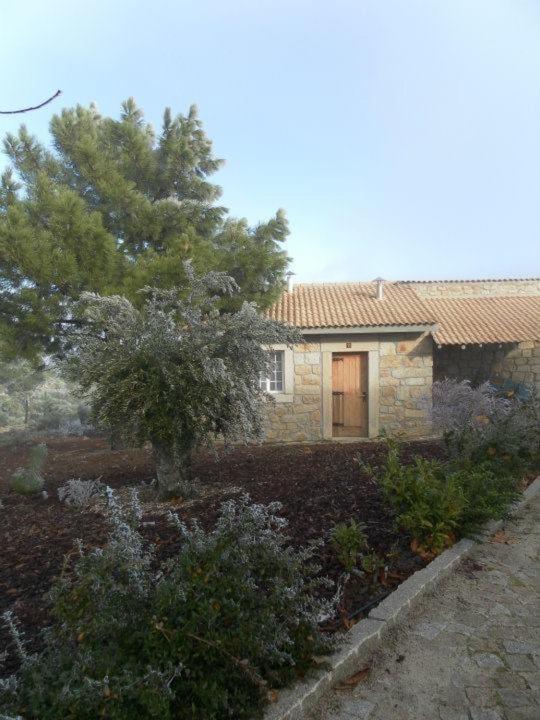 Montanhas do Douro view 3