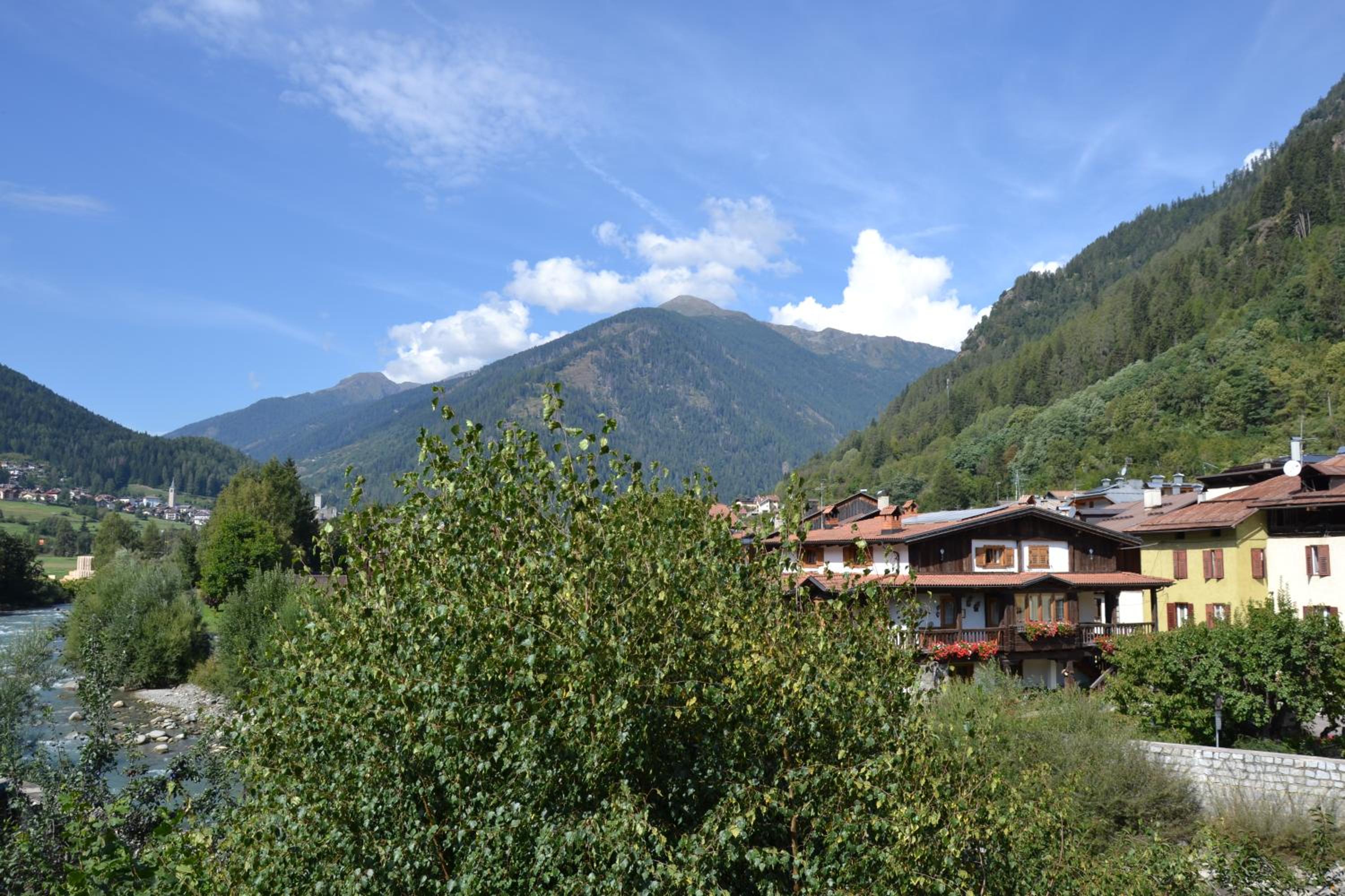 Appartamento Primula - Maso al Noce view 4