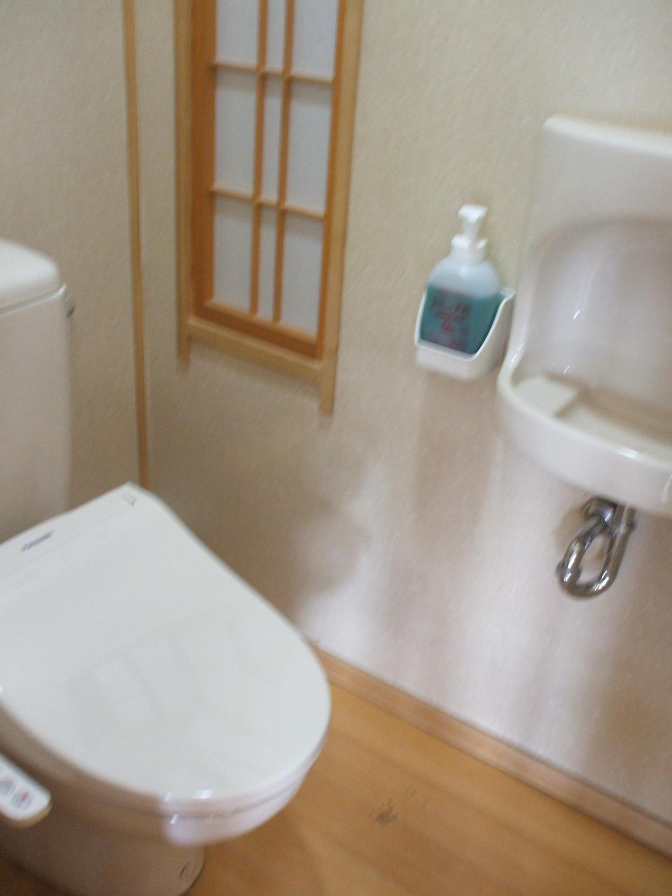 Annex Fujiya Ryokan, photo 40