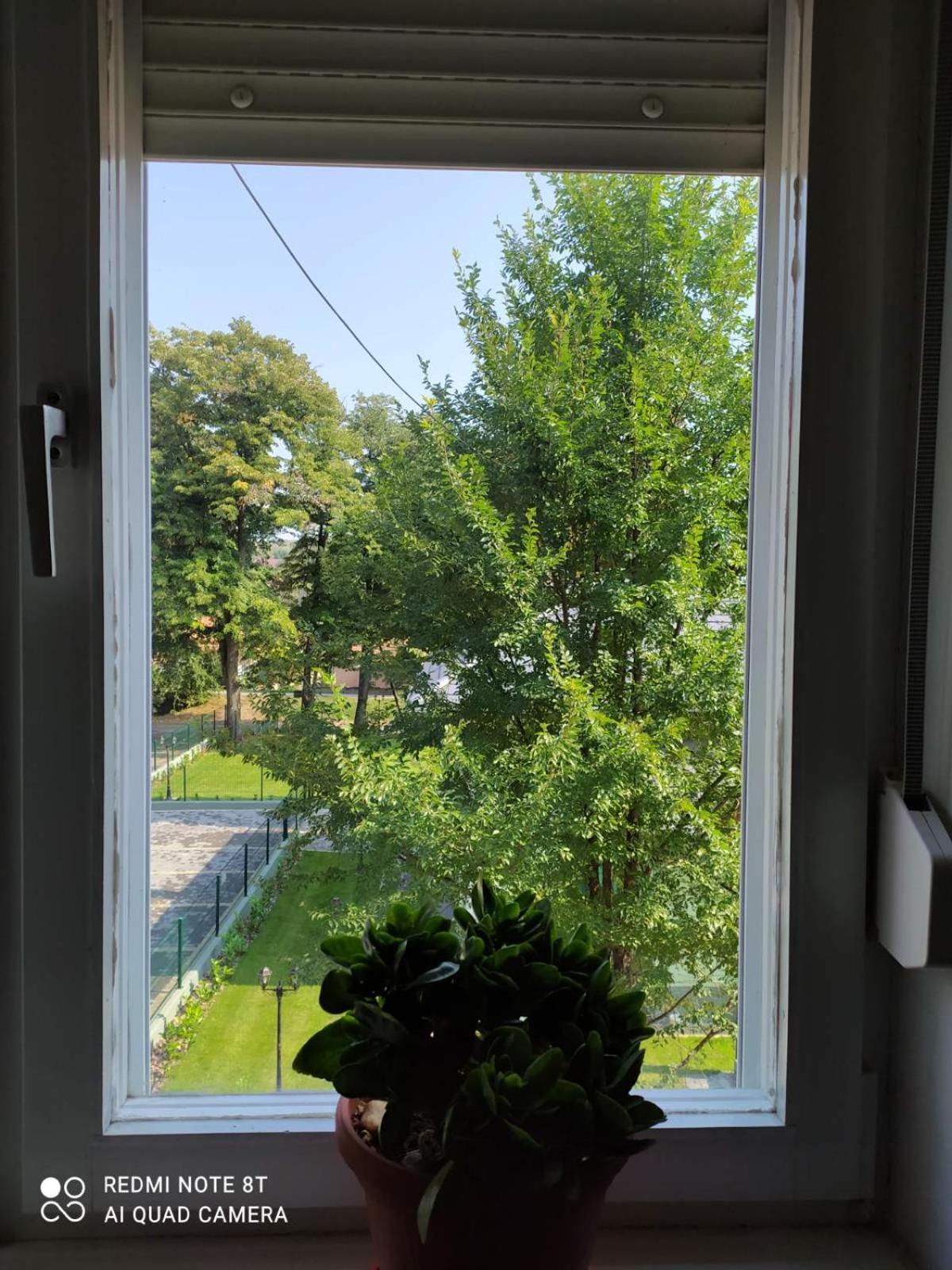 Photo 33
