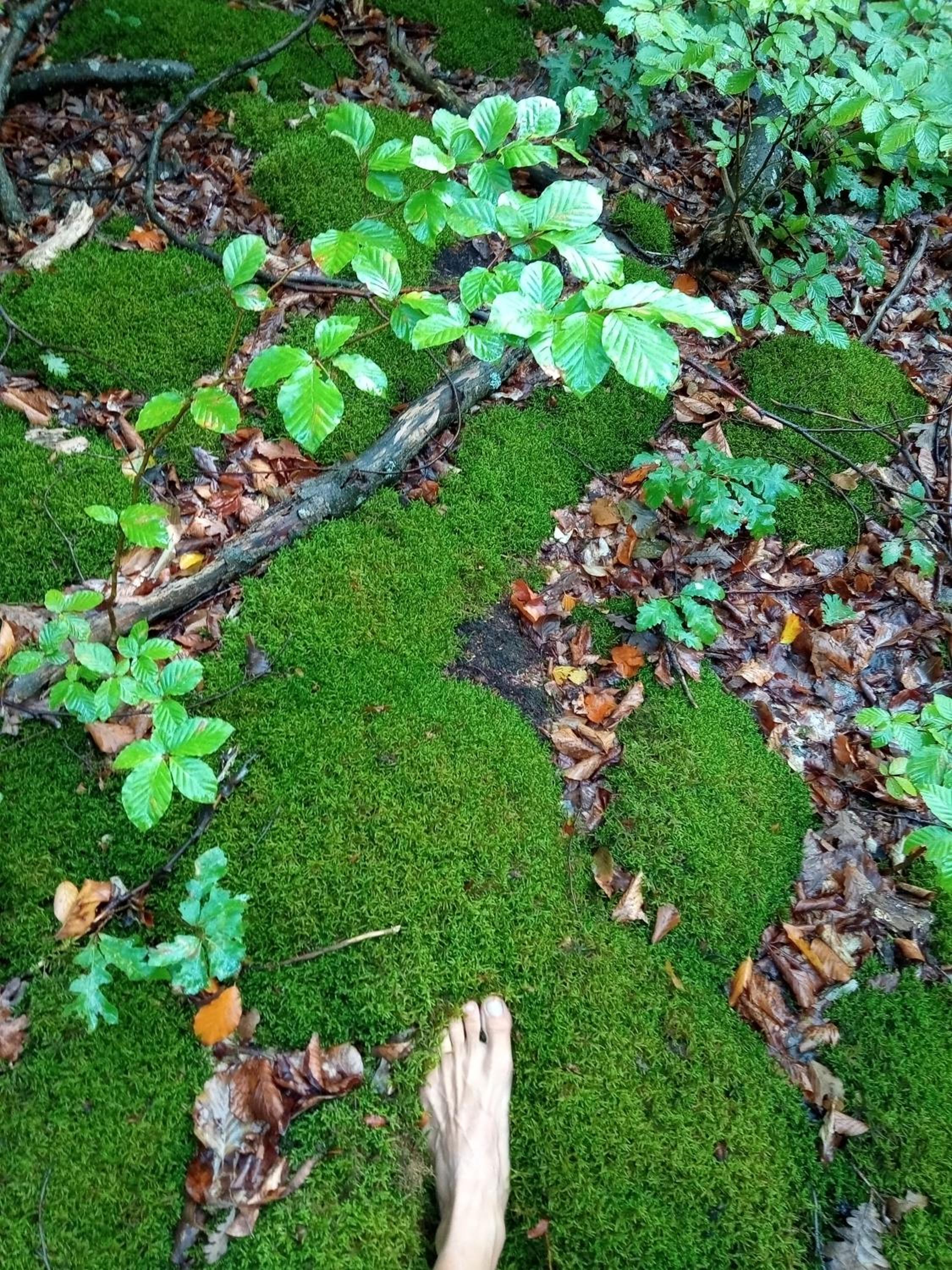 Photo 40