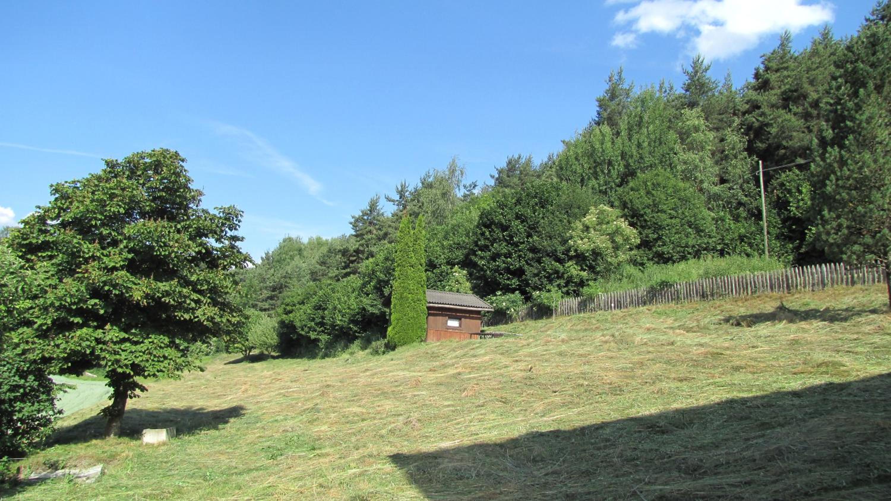 Photo 22