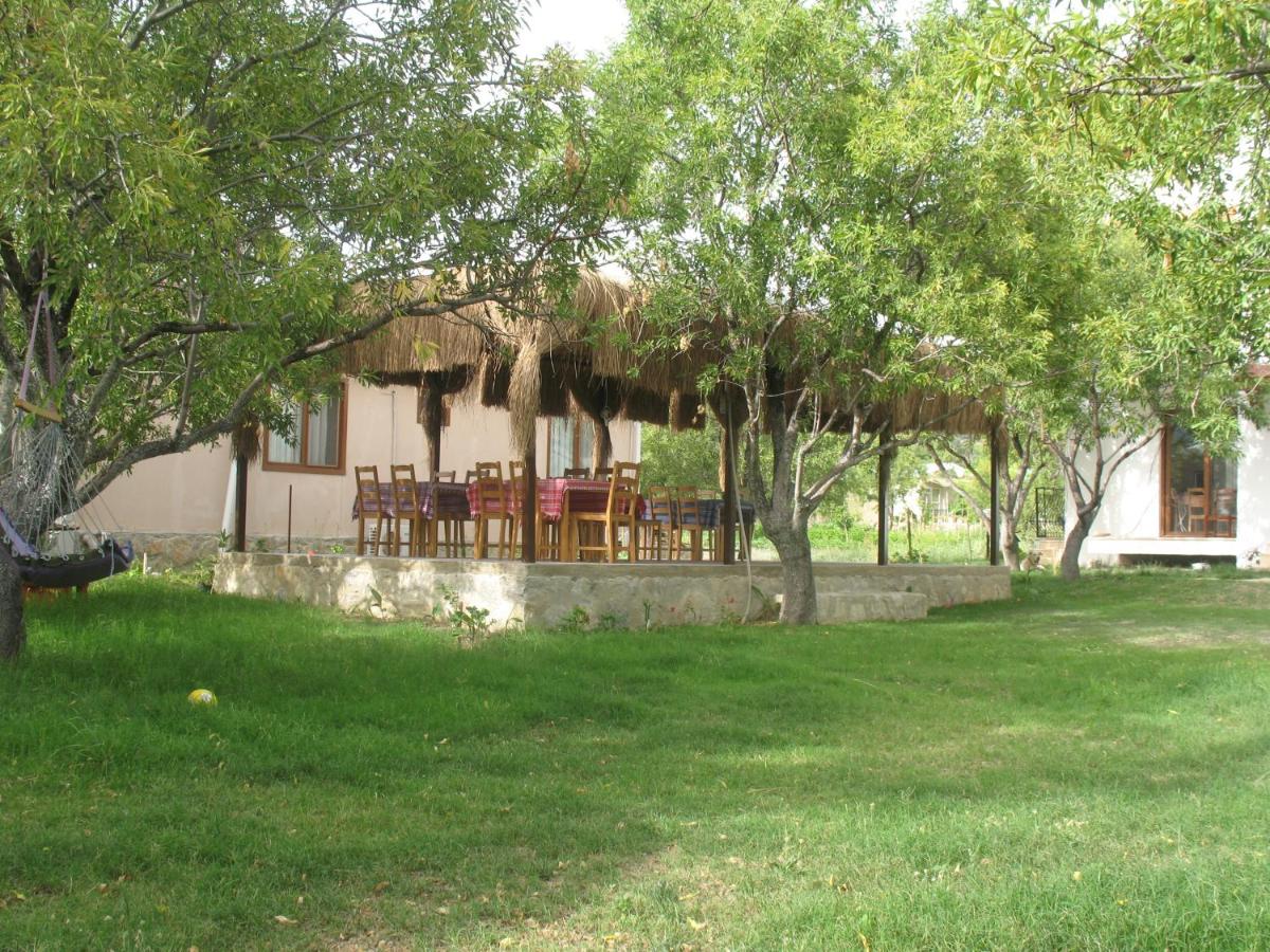 Photo 21