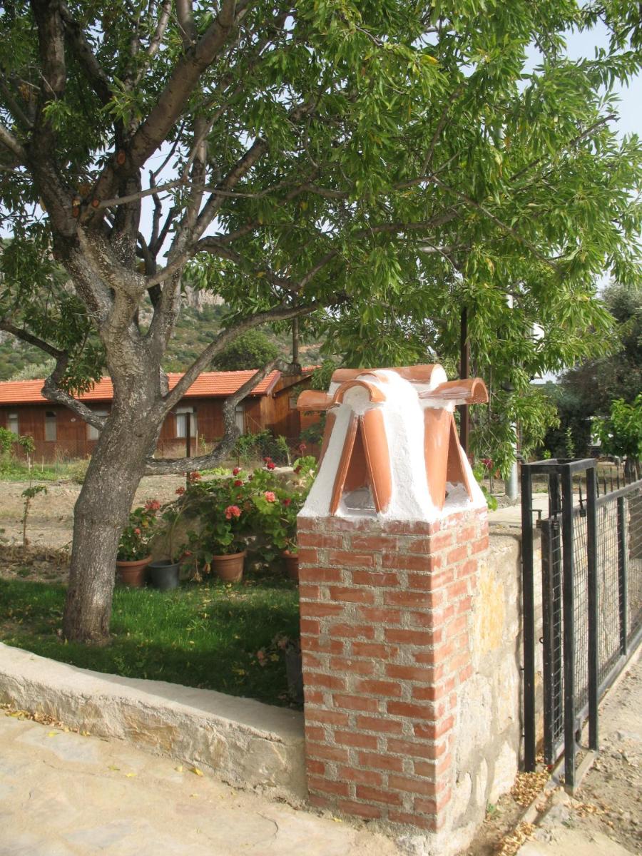 Photo 25