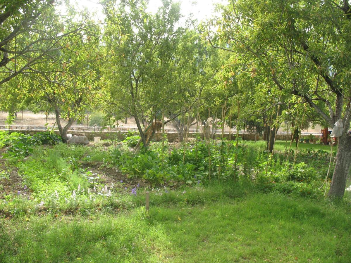 Photo 27