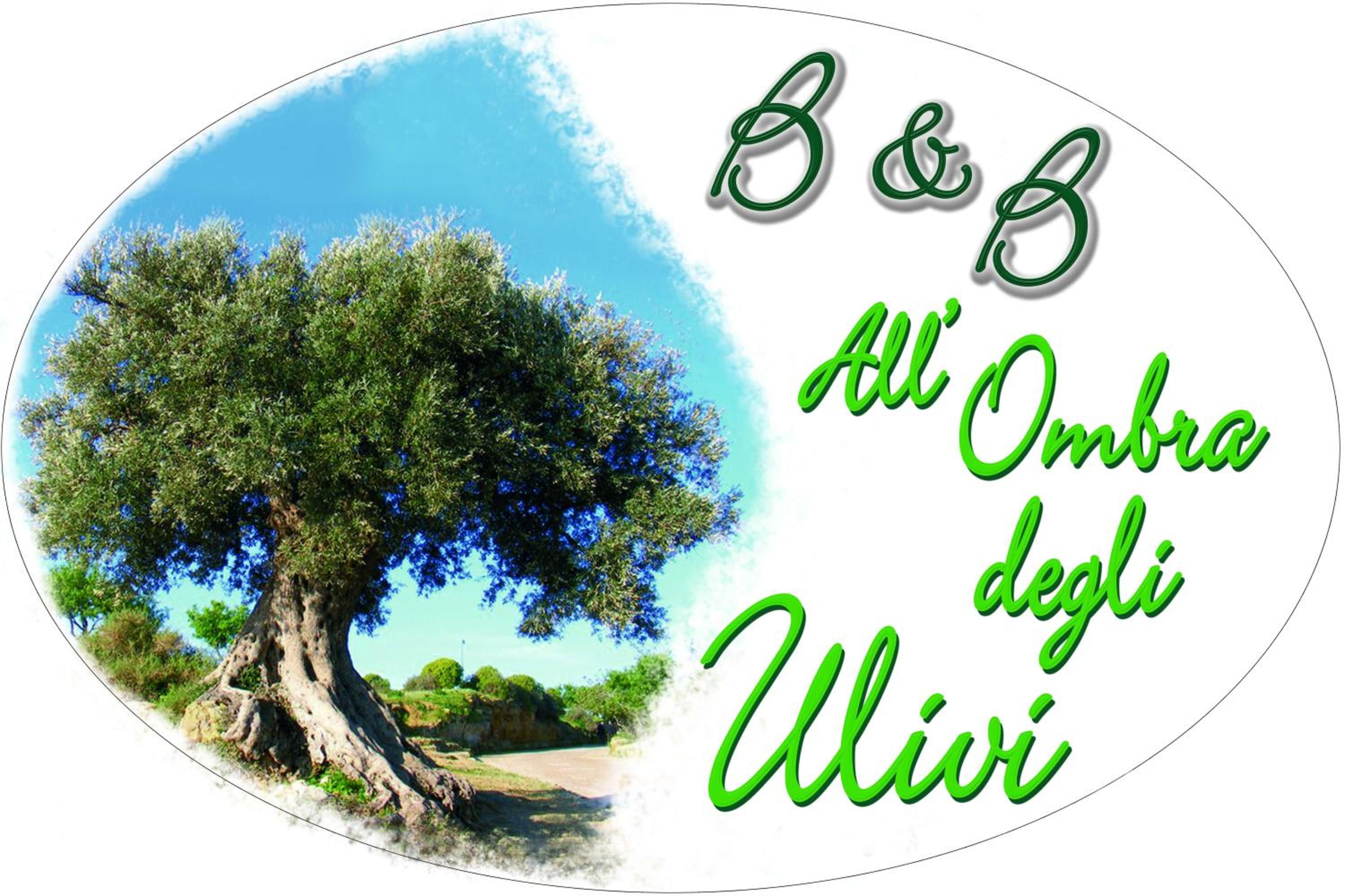 B&B All'ombra degli ulivi