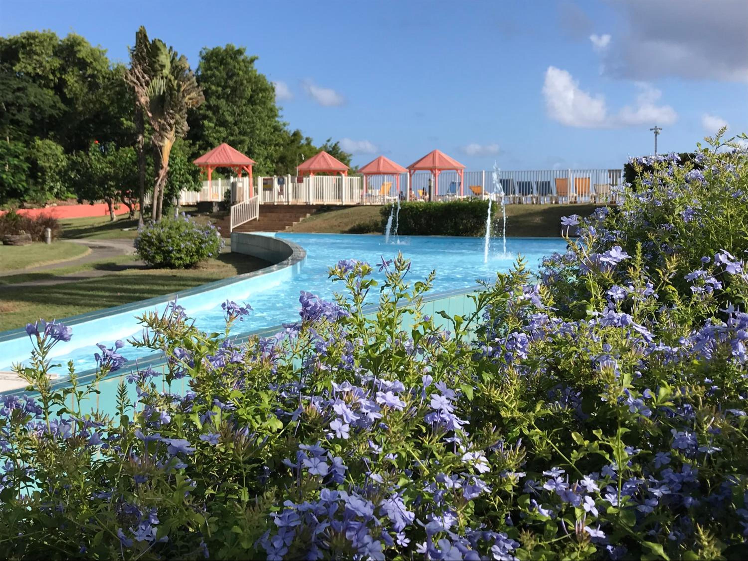 COEUR TIARE studio lounge piscine plage cocotiers view 2
