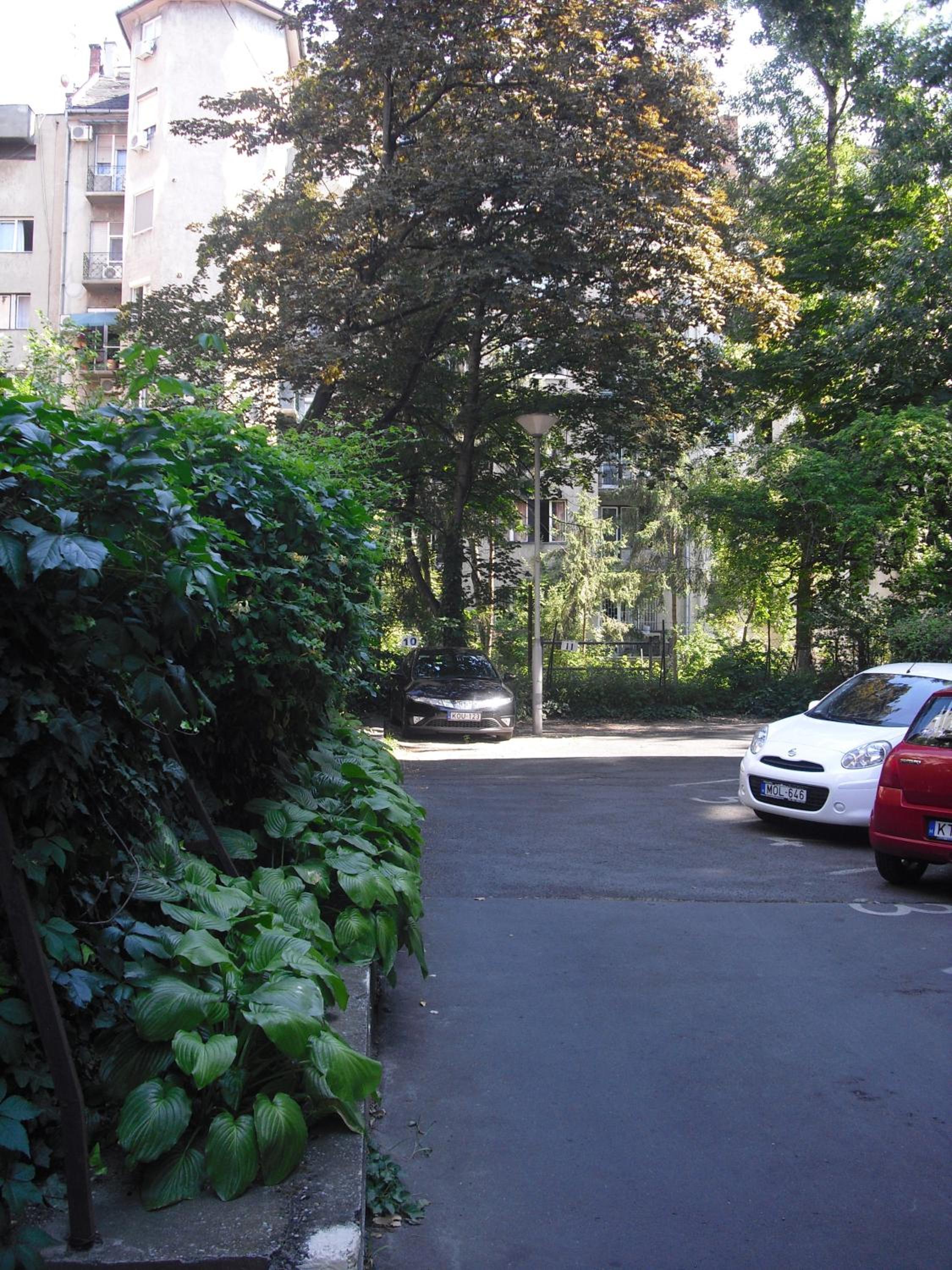 Young Center view 5