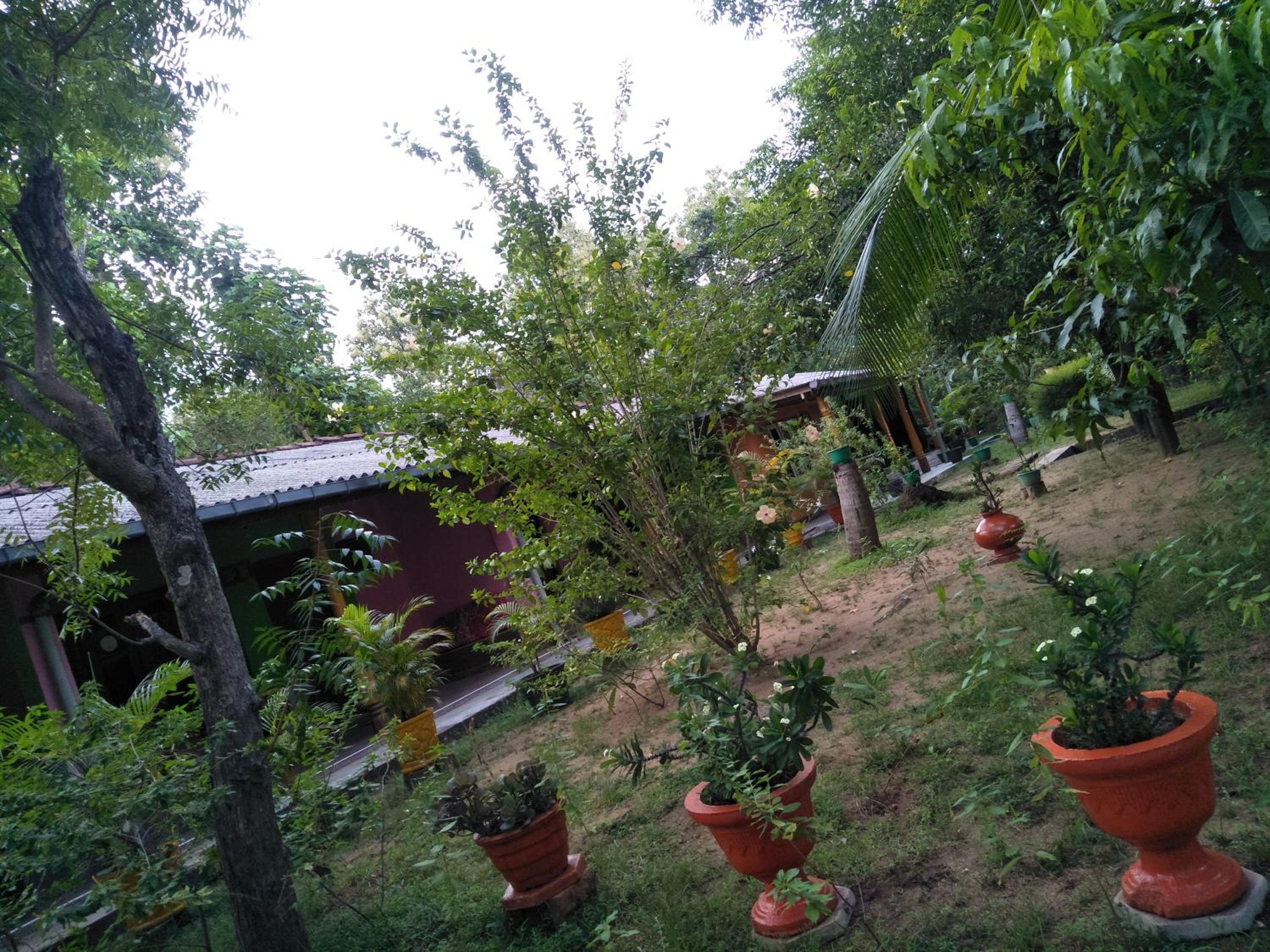 Photo 15
